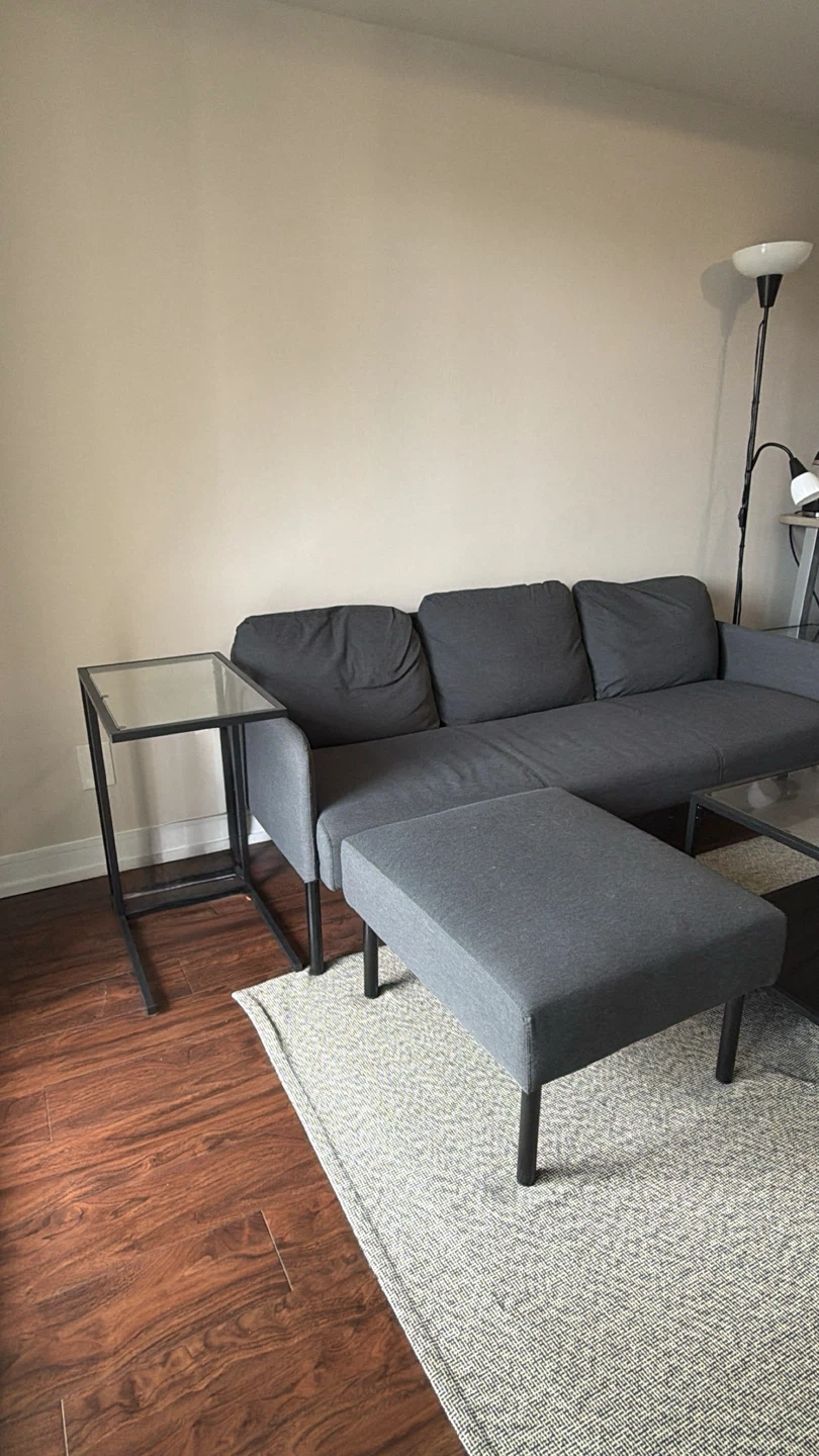 Full 1-Bedroom Apartment Moving Sale - photo 2