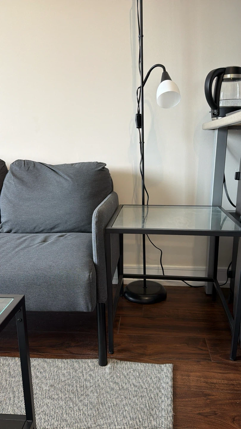 Full 1-Bedroom Apartment Moving Sale - photo 3