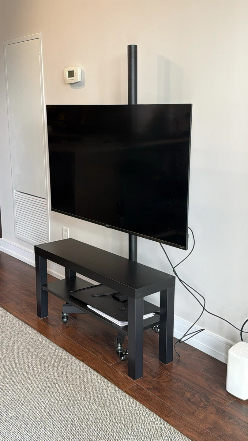 Full 1-Bedroom Apartment Moving Sale - photo 4