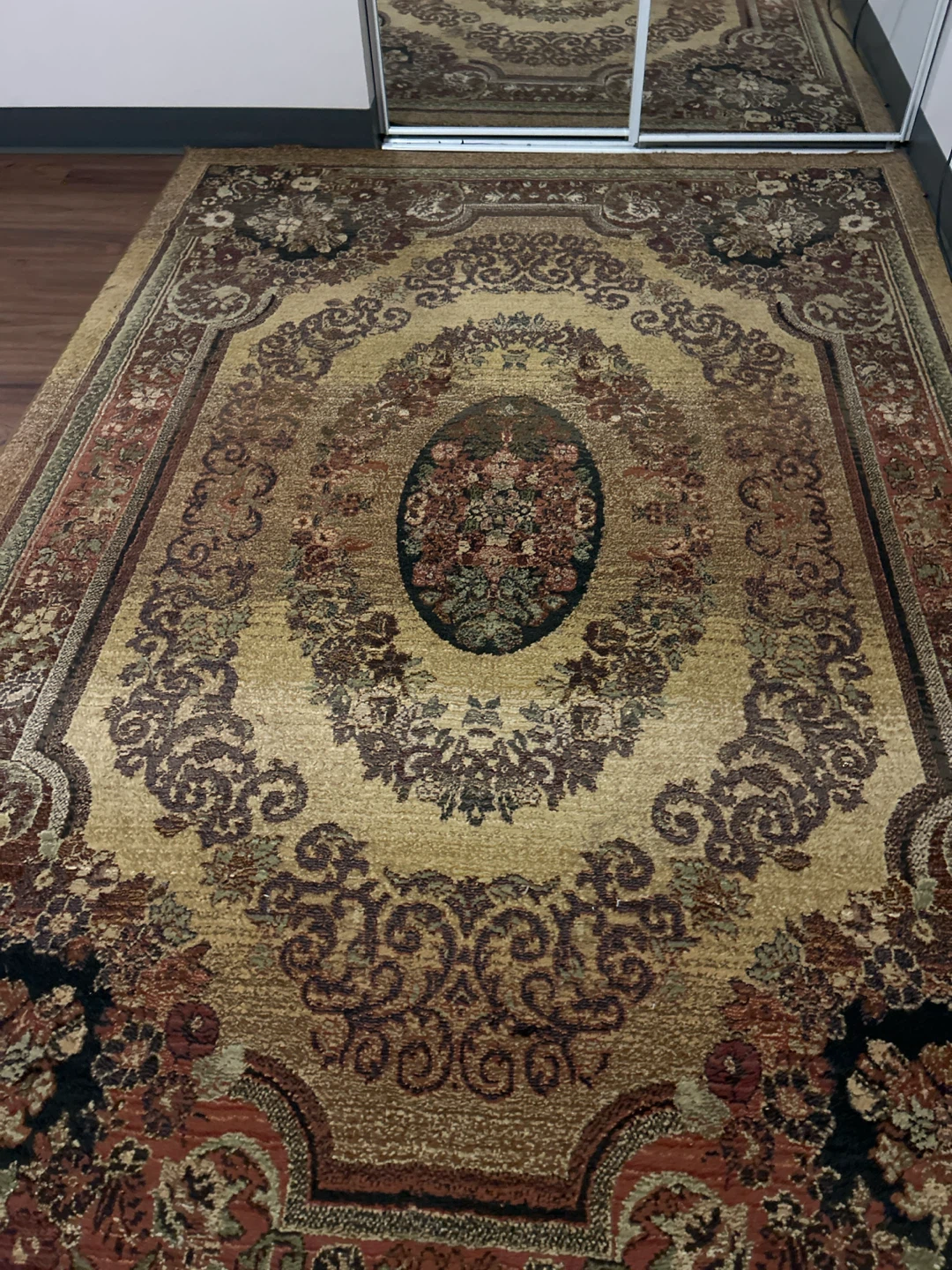Traditional Area Rug, Carpet