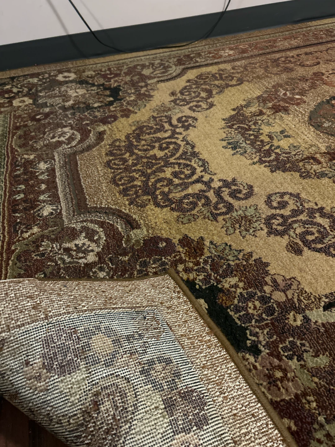 Traditional Area Rug, Carpet - photo 3