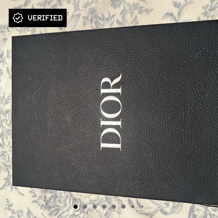 DIOR B22