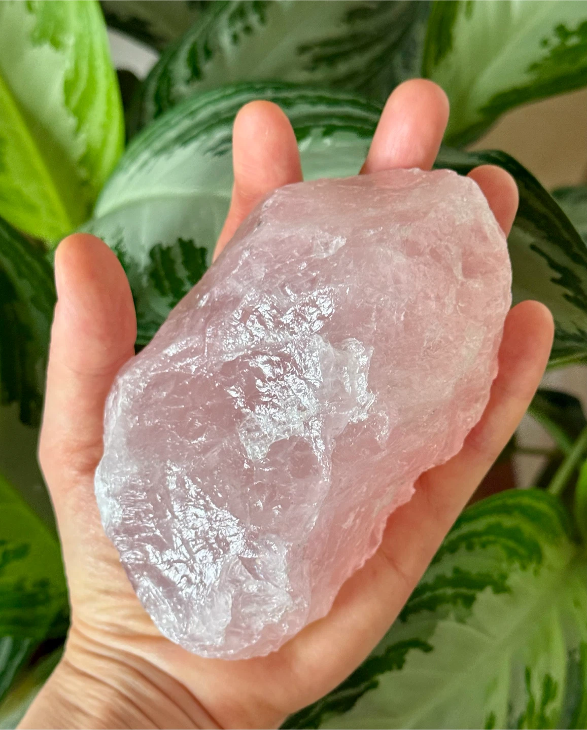 Raw Rose Quartz Crystal From Madagascar - photo 2