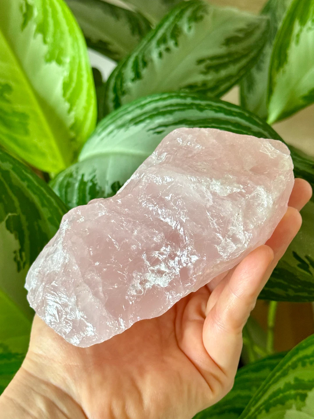 Raw Rose Quartz Crystal From Madagascar - photo 4
