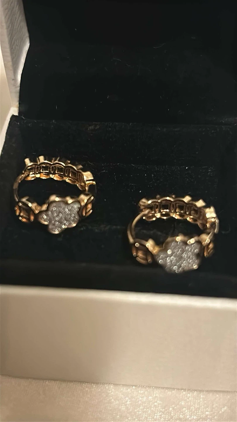 Gold tone Earrings Plated Only