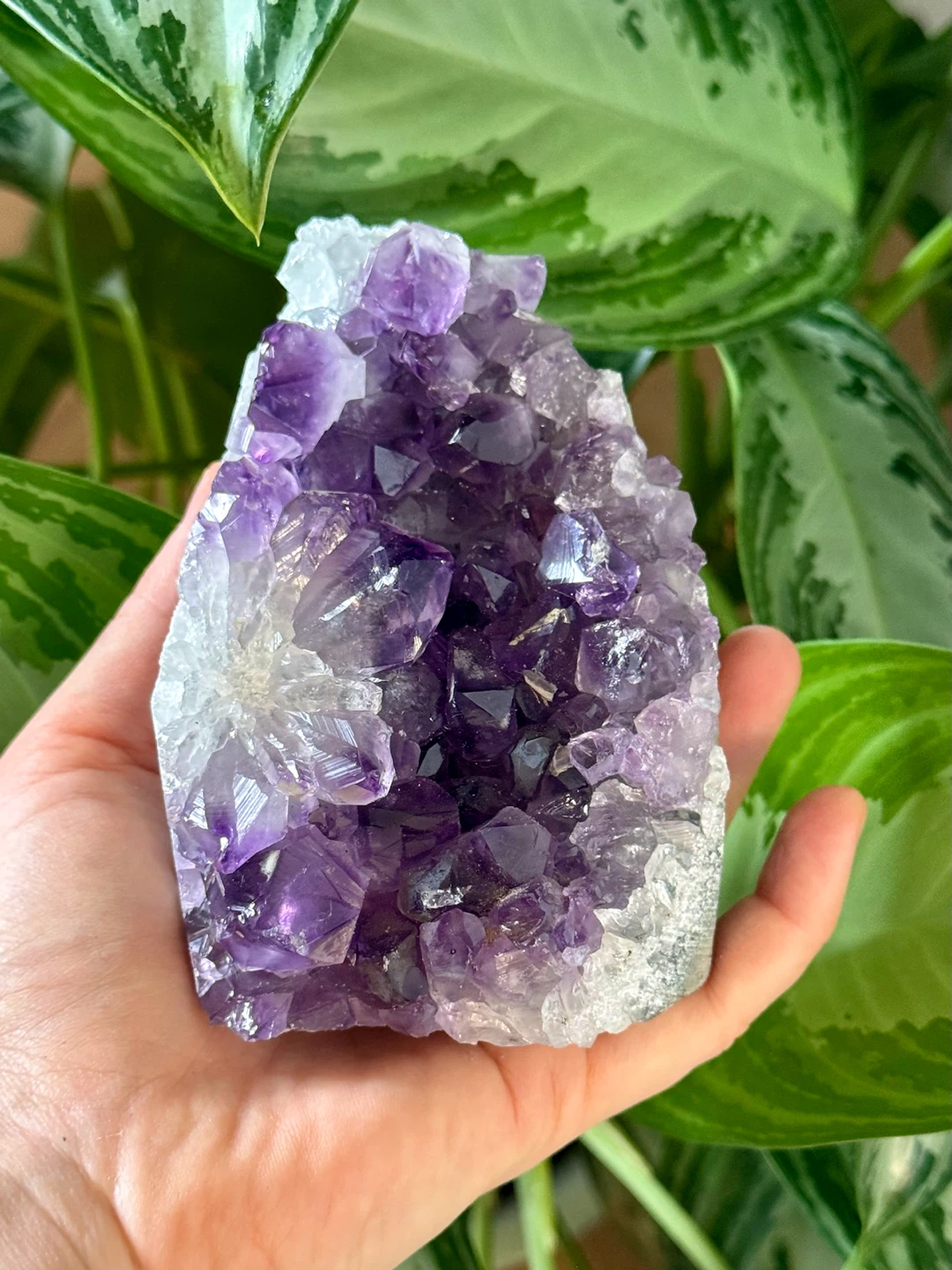Raw Brazilian Stand-Up Amethyst Crystal