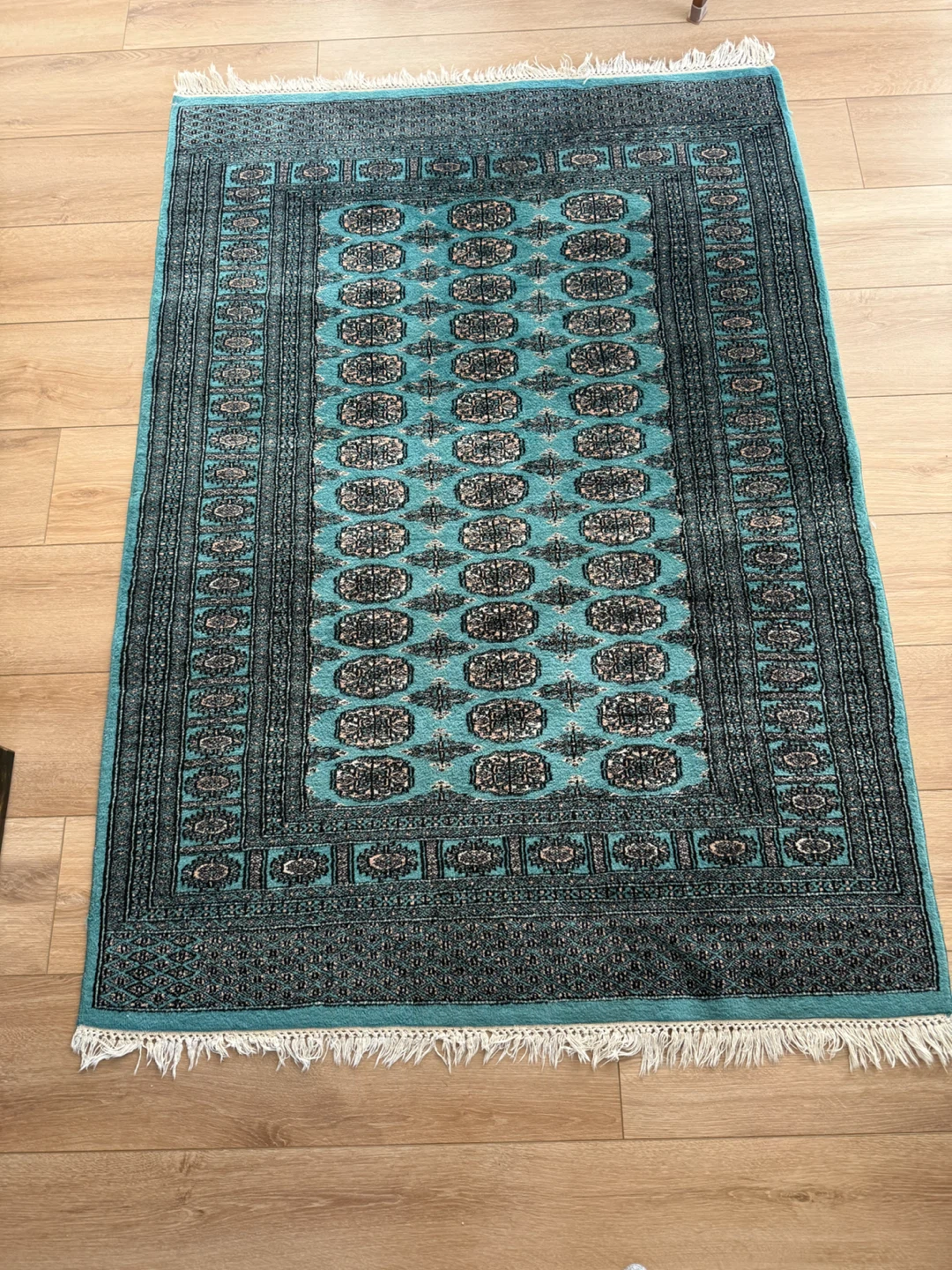 Bokhara Hand Knotted rug