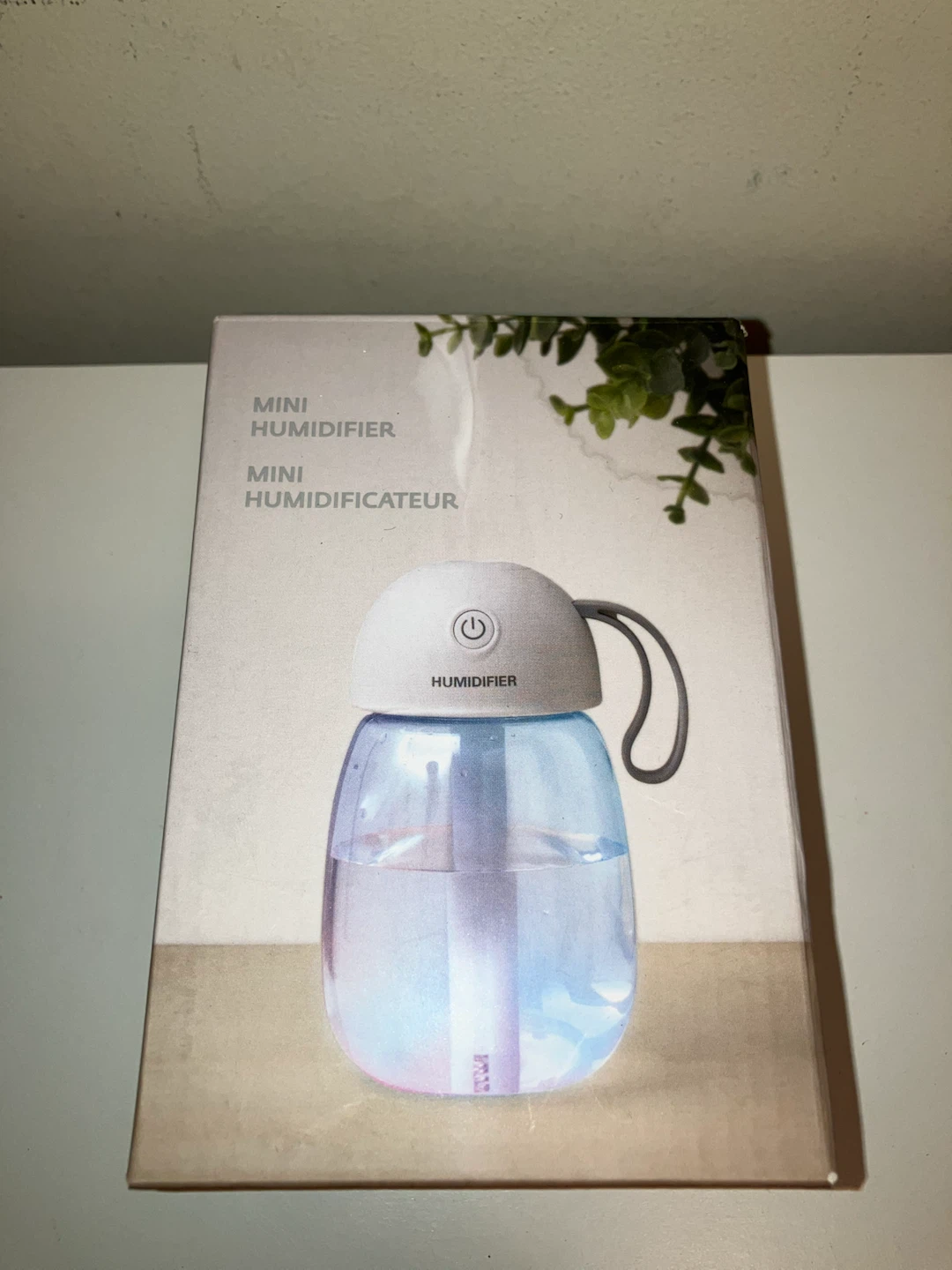 Mini USB Humidifier