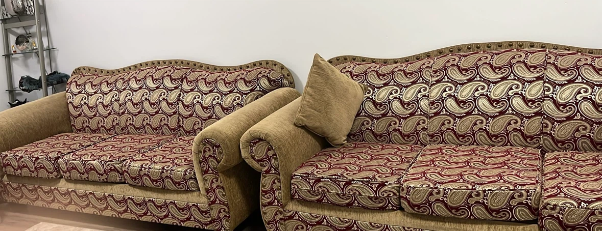 Paisley Sofa with accent pillows
