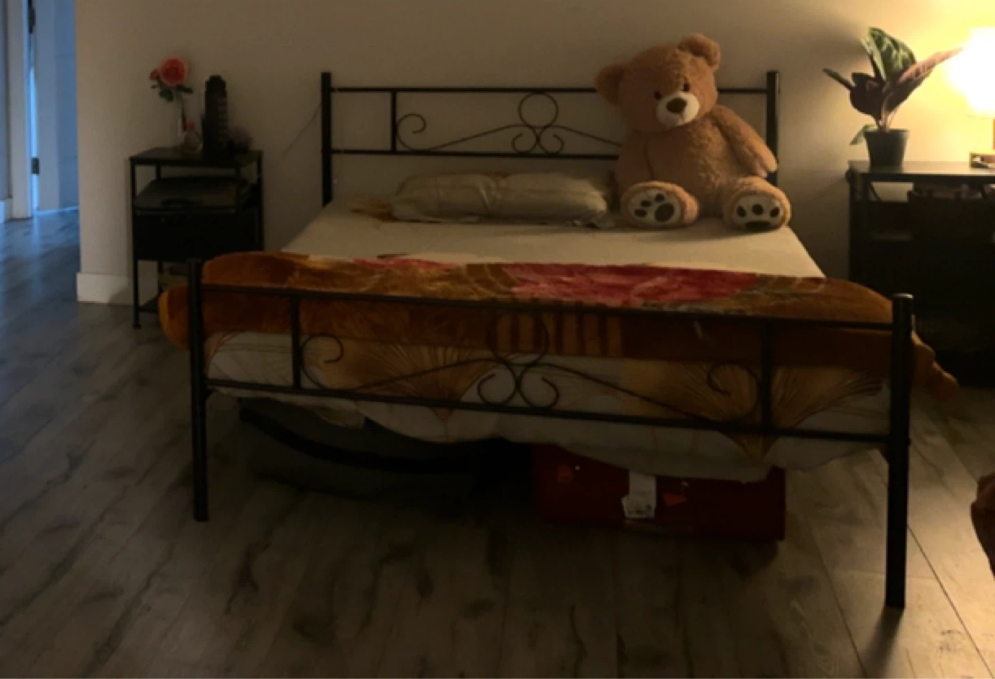 Metal Bed Frame with mattress