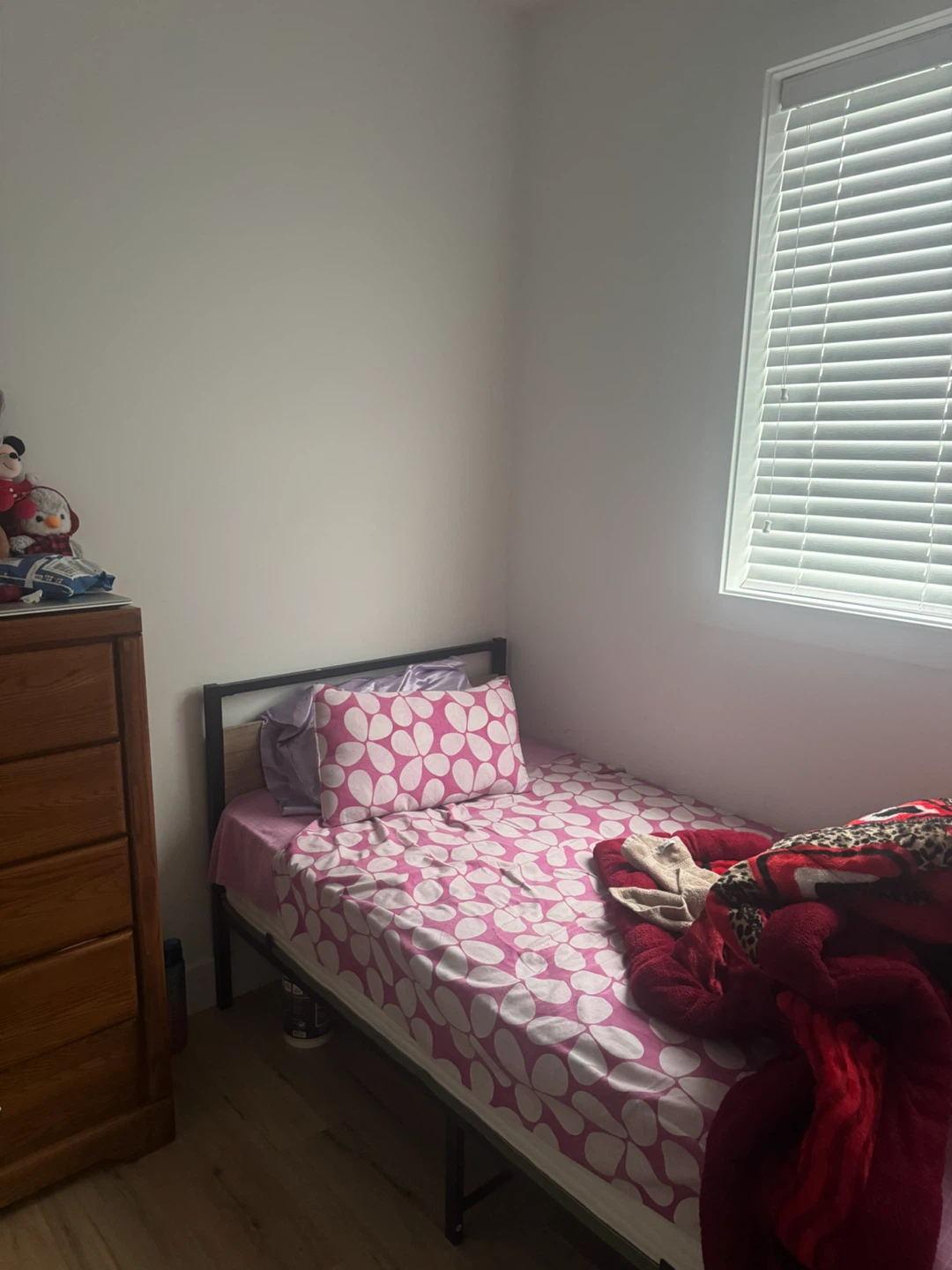 Single Bed Frame with Mattress and