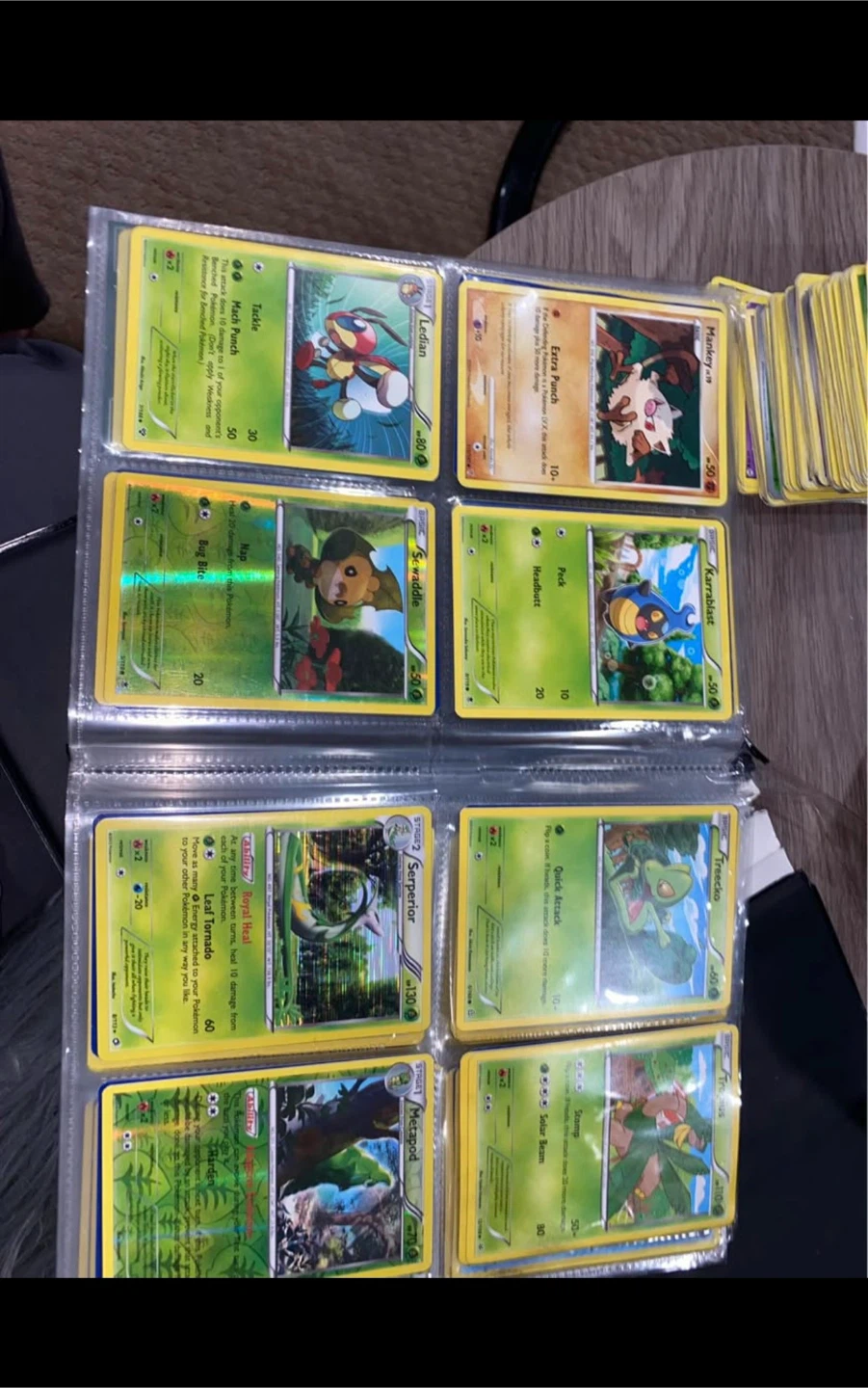 Pokemon - photo 5