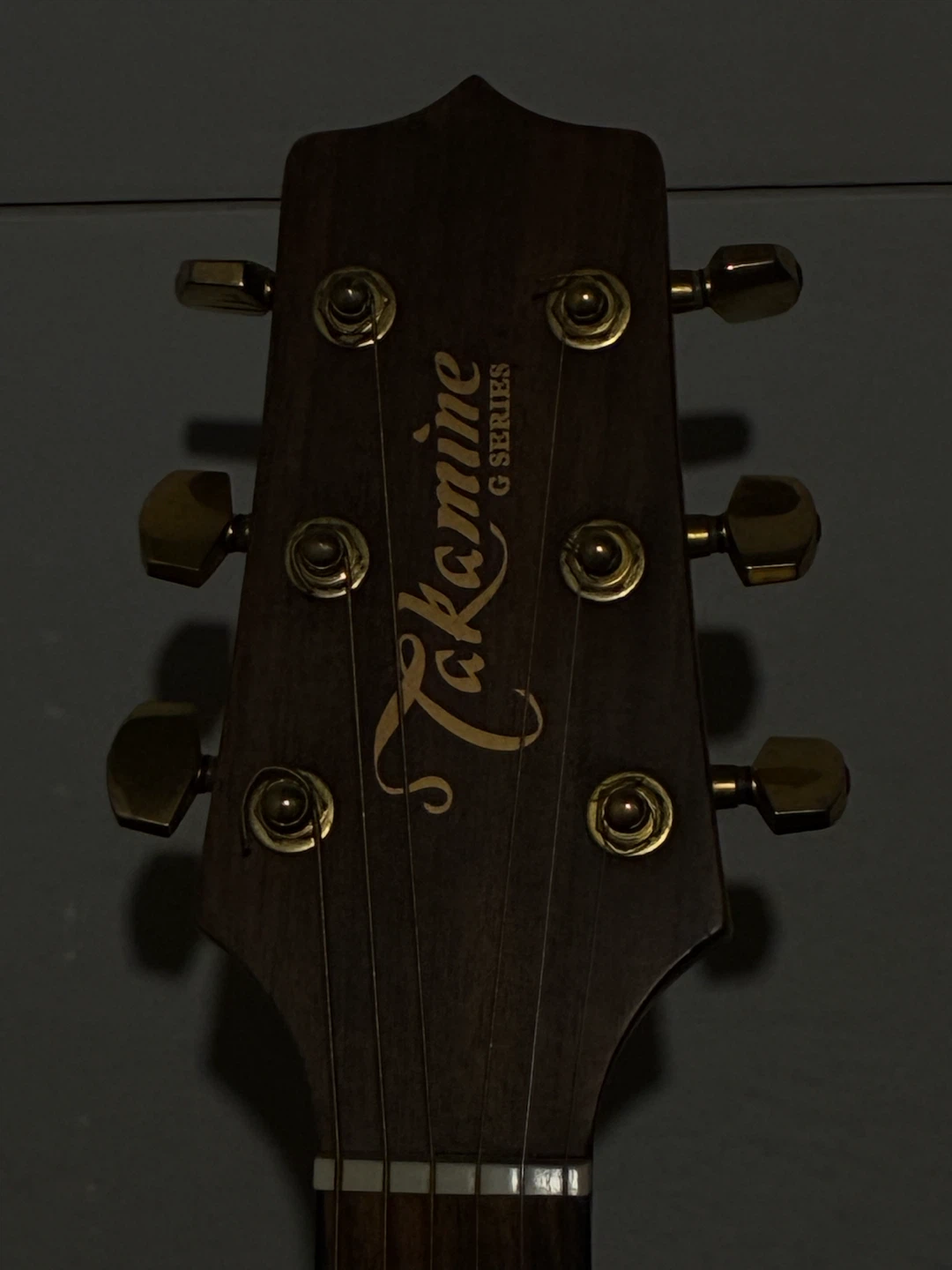 Takamine G Series Acoustic Electric Guitar - photo 2