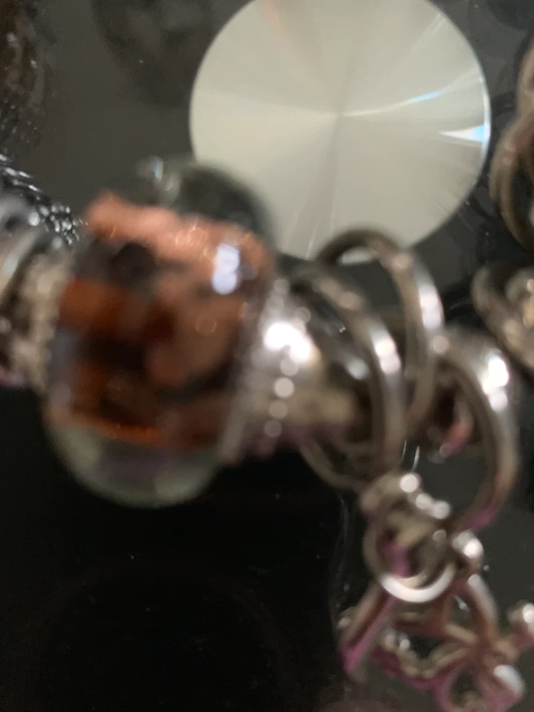 Charm Bracelet with Dragonfly and Butterfly - photo 4