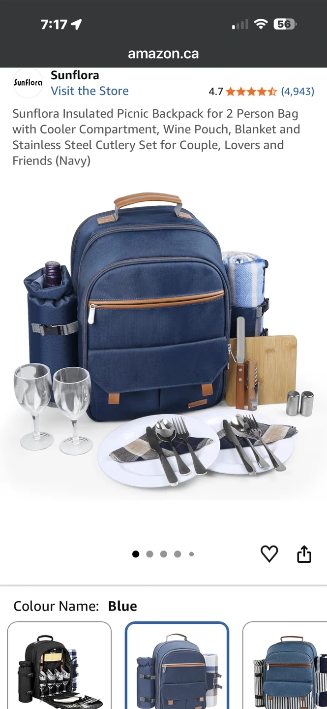 Sunflora Insulated Picnic Backpack for 2 Person Brand new