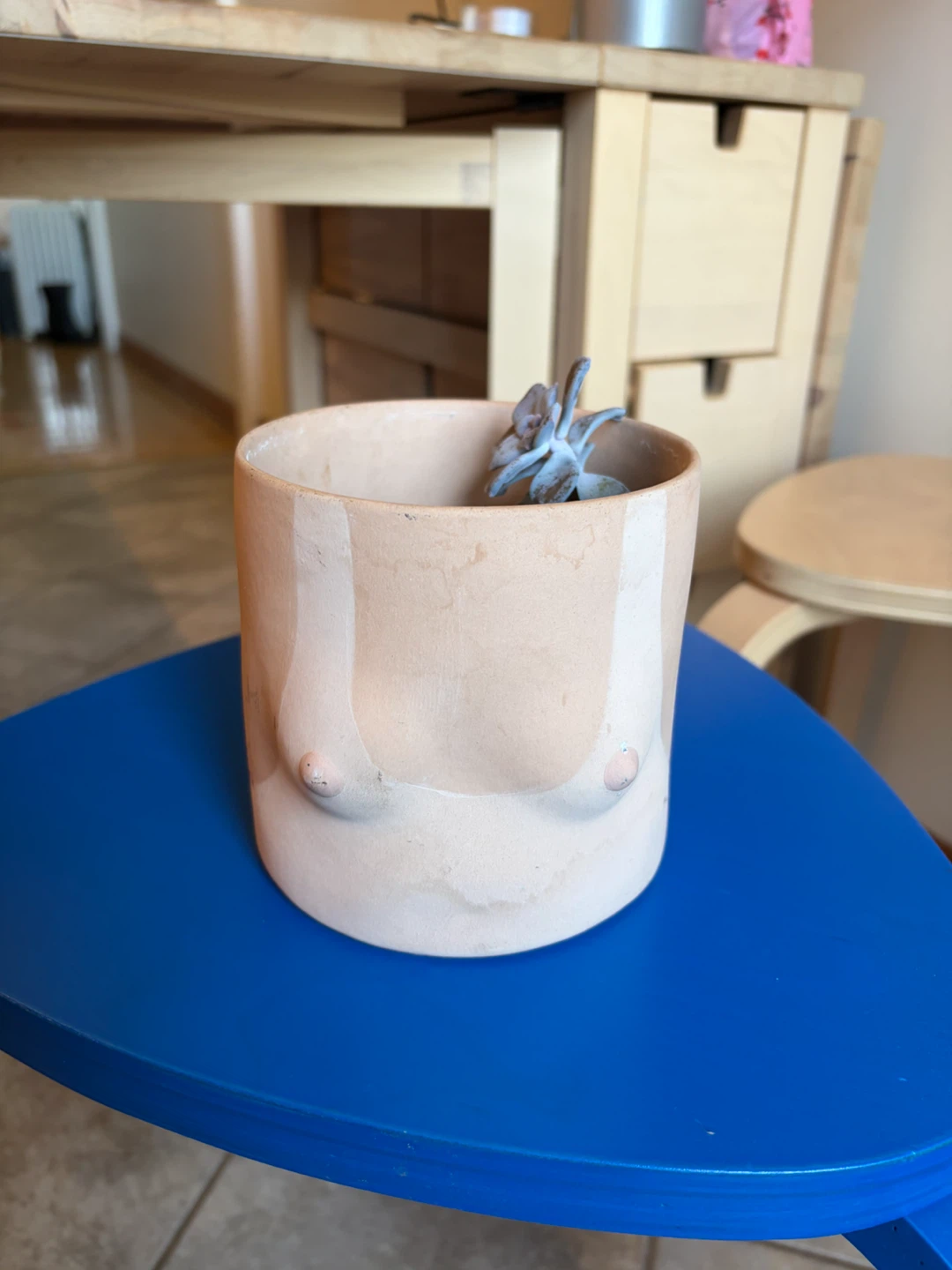 Nude Body Planter Pot w. Jade plant