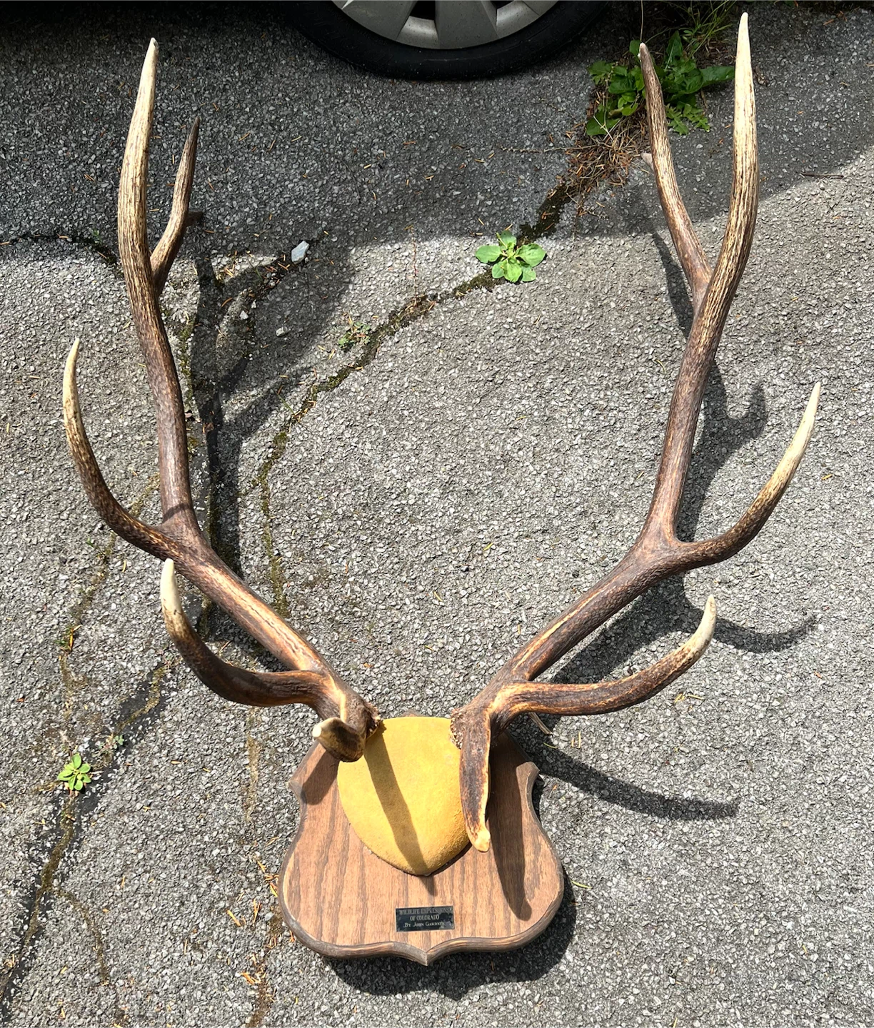 Deer Racks
