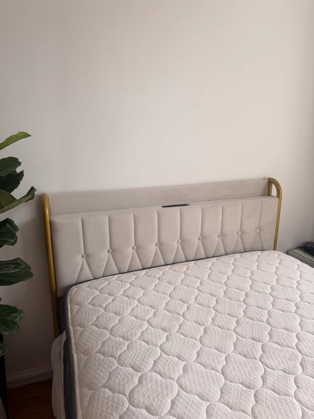 Cream Velvet Upholstered Gold Metal Bed Frame - photo 2