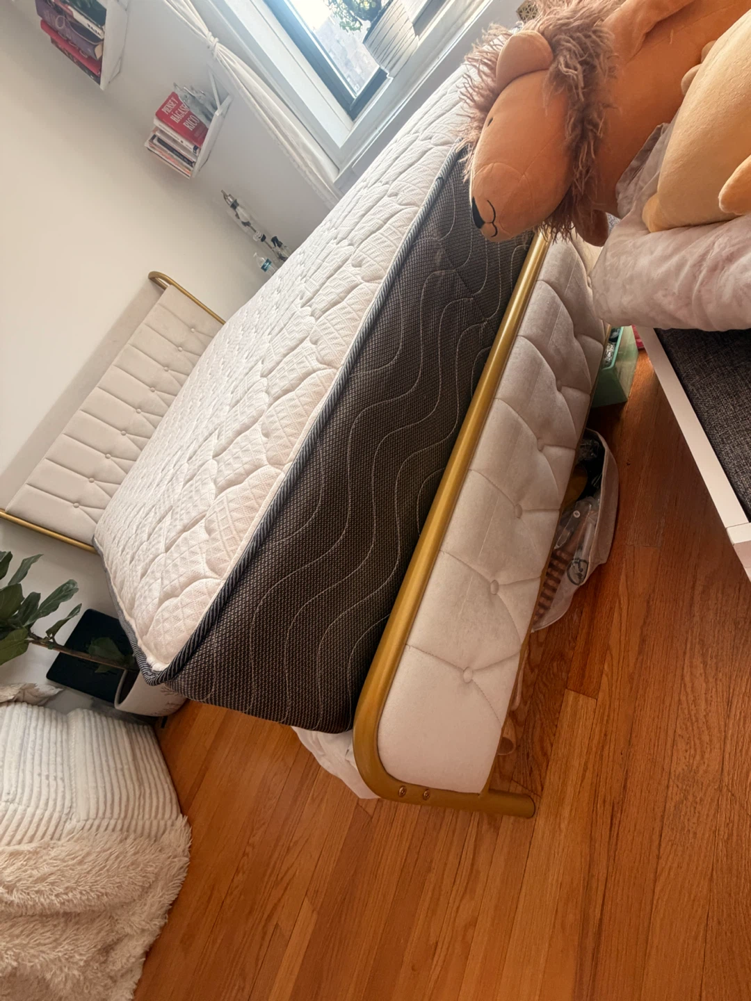 Cream Velvet Upholstered Gold Metal Bed Frame - photo 3