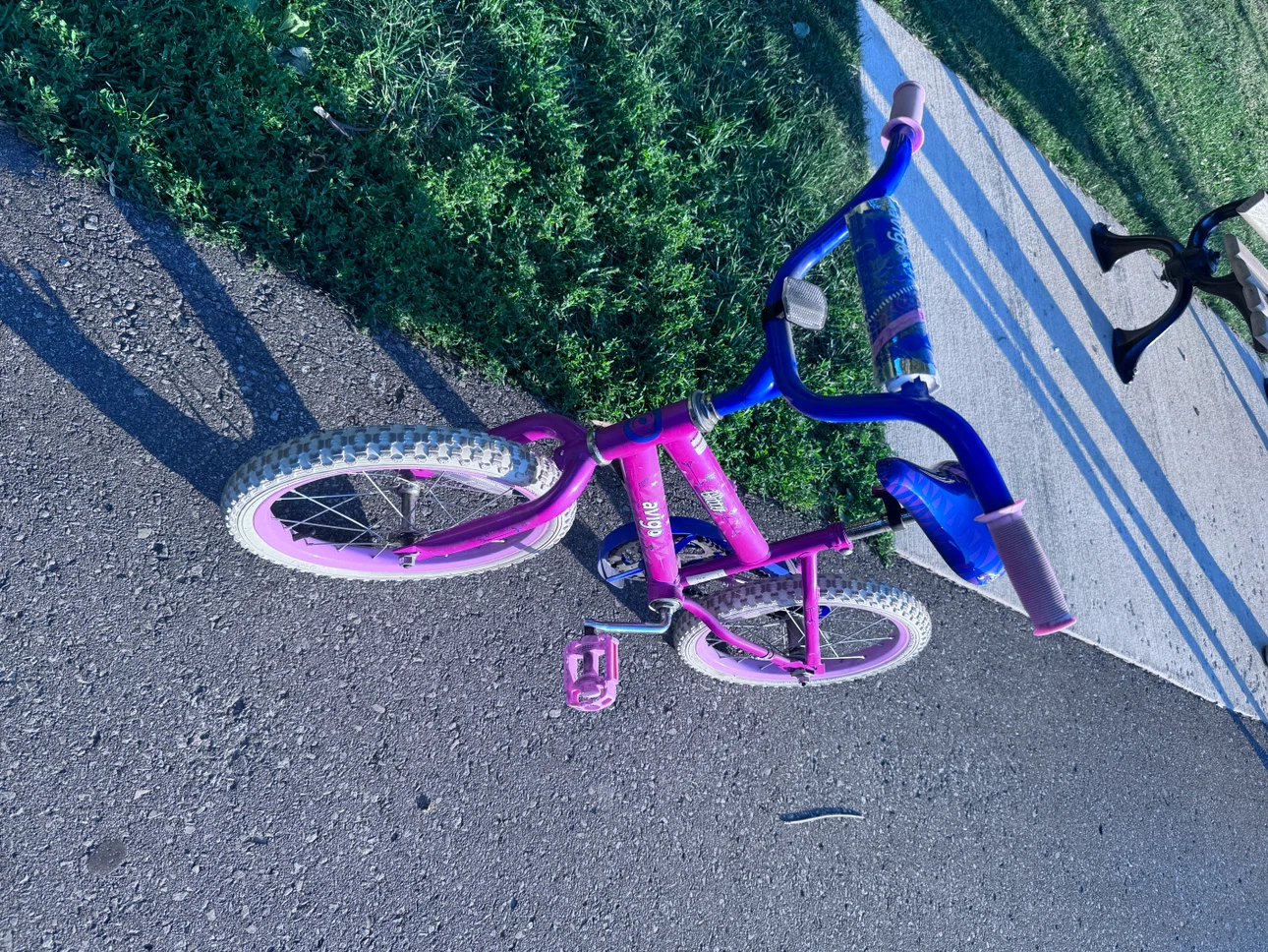 Avigo Glitter 16” Kids Bicycle with Training Wheels - photo 3