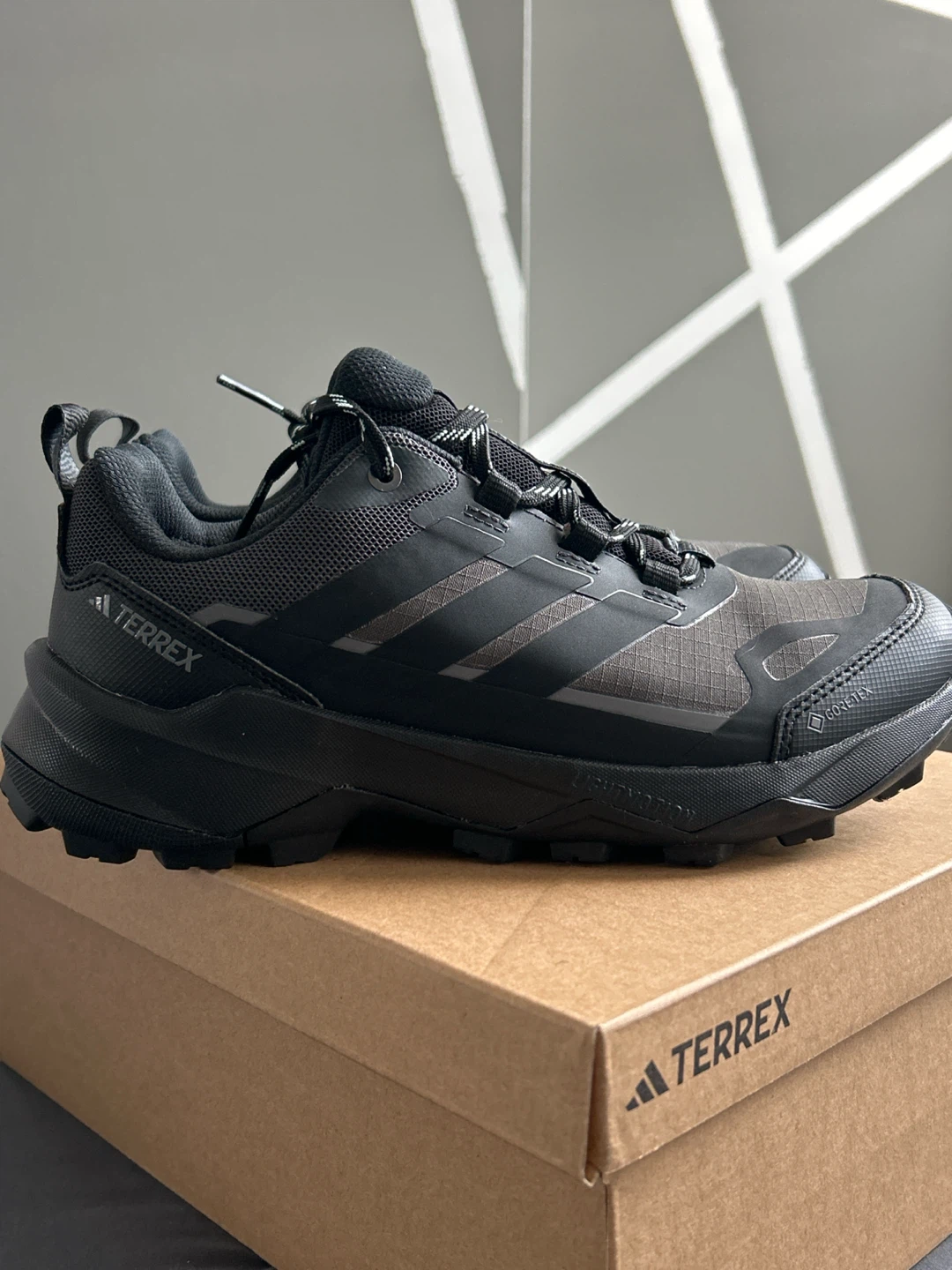 Adidas terrex skychaser Gore-Tex hiking shoes