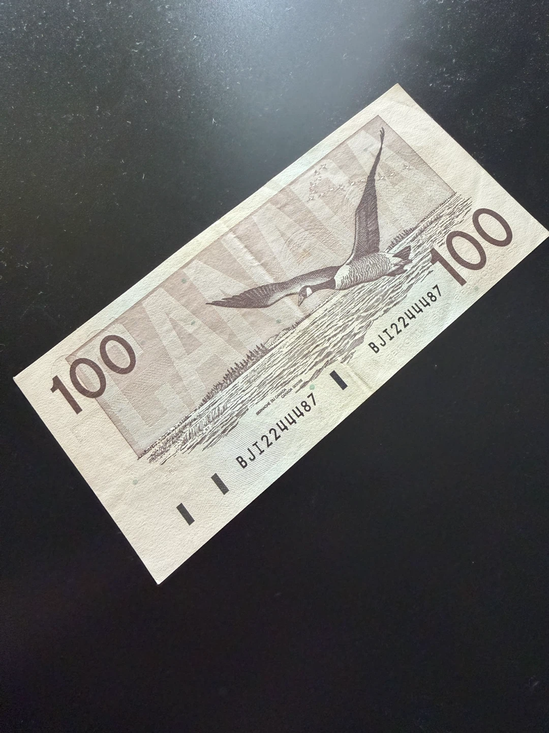 $100 Canadian Bank Note - photo 2