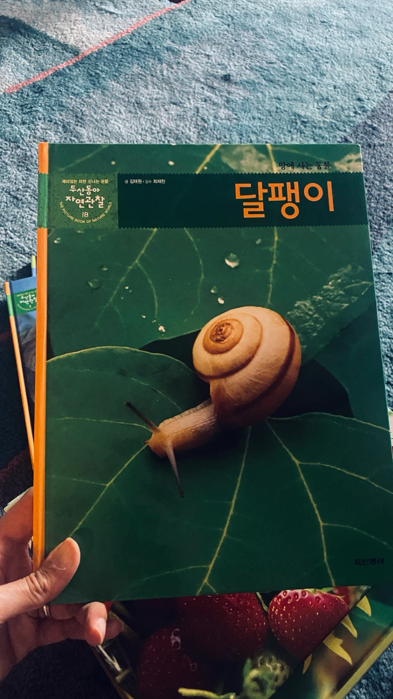 Nature Picture Book - Strawberries, Snails, Elephants - photo 2