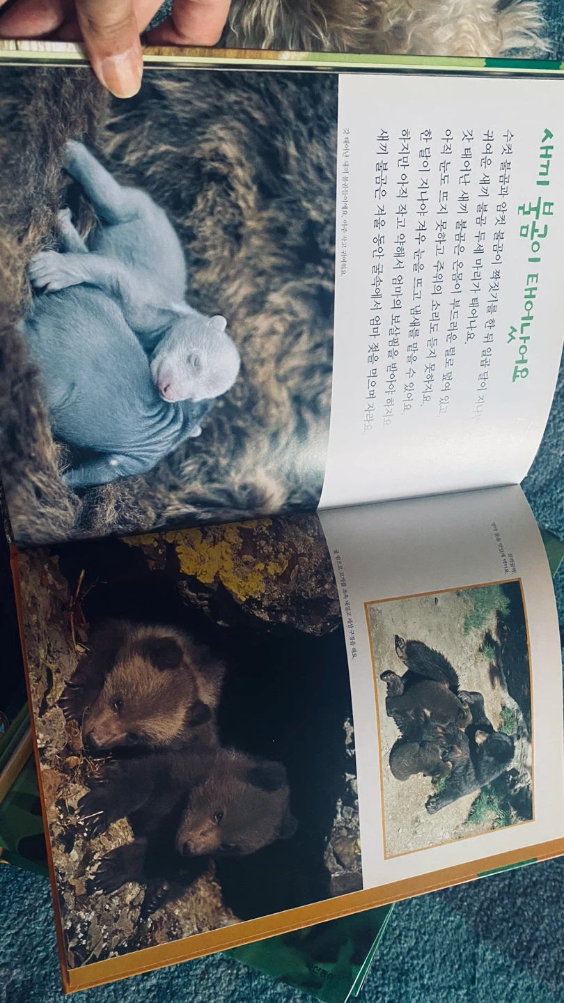 Nature Picture Book - Strawberries, Snails, Elephants - photo 4