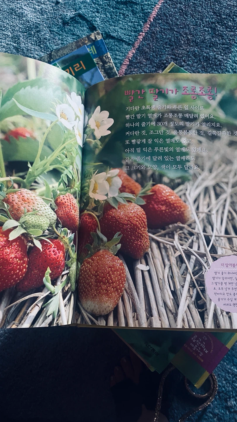 Nature Picture Book - Strawberries, Snails, Elephants - photo 5