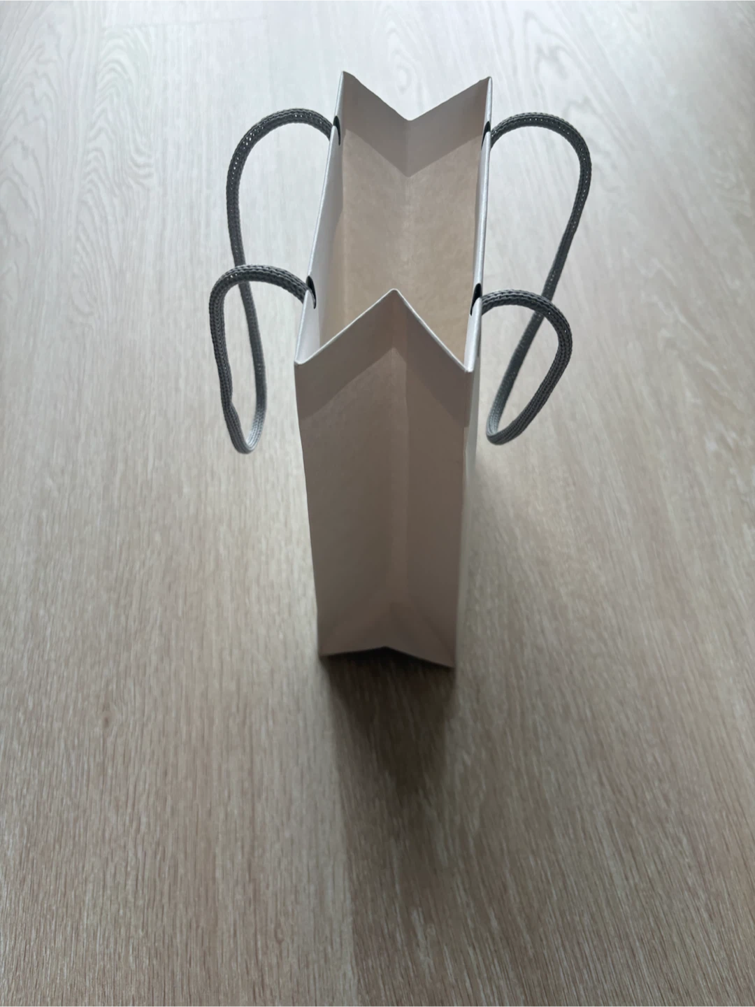 Apple Paper Shopping Bag - photo 3