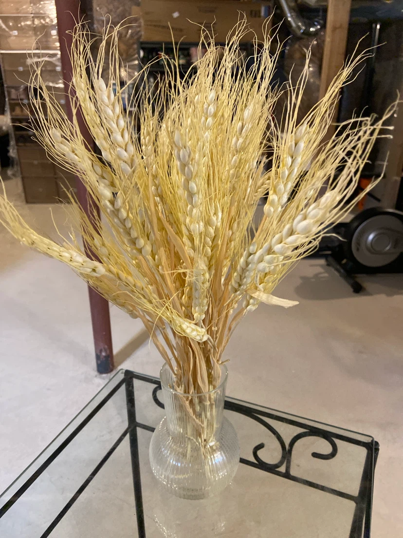 Dried Wheat Stalks Arrangement