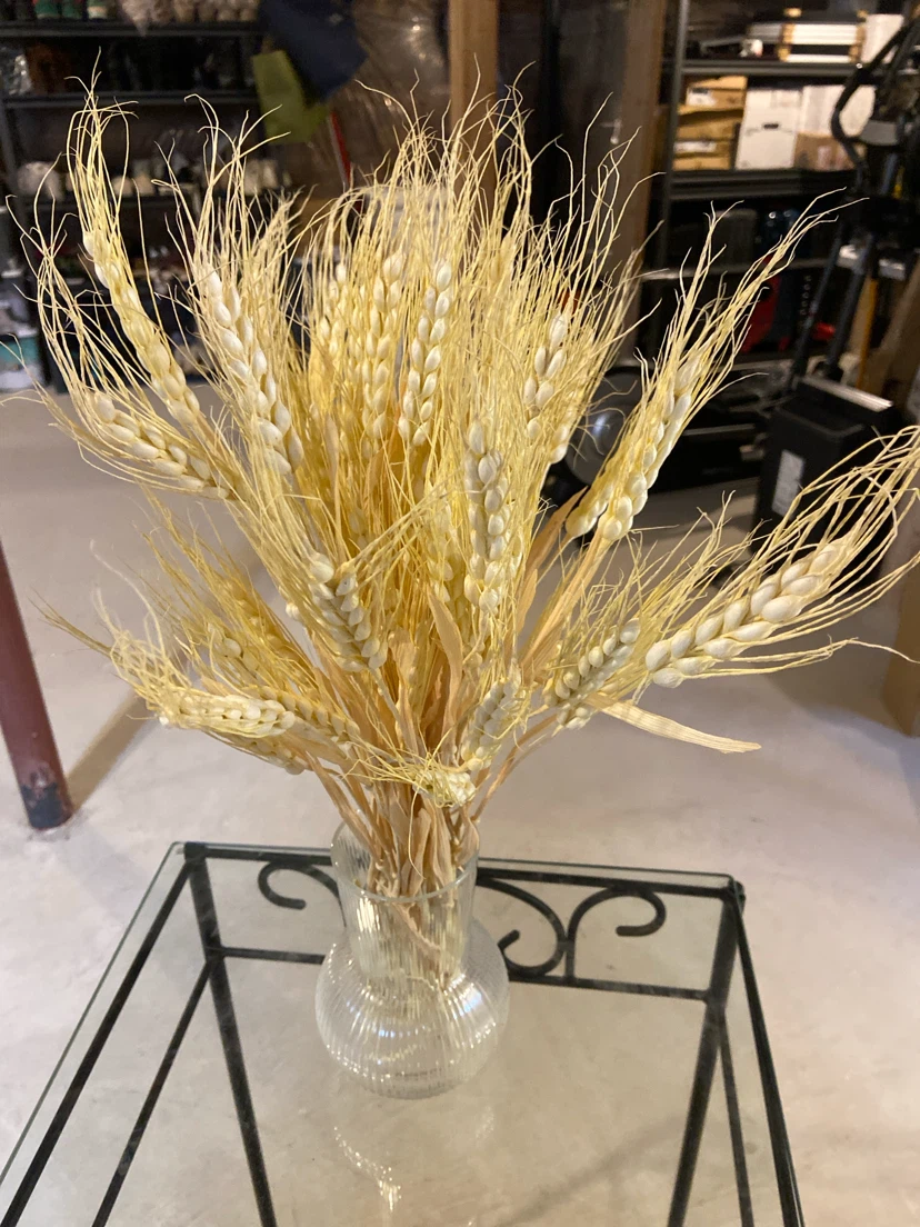 Dried Wheat Stalks Arrangement - photo 2