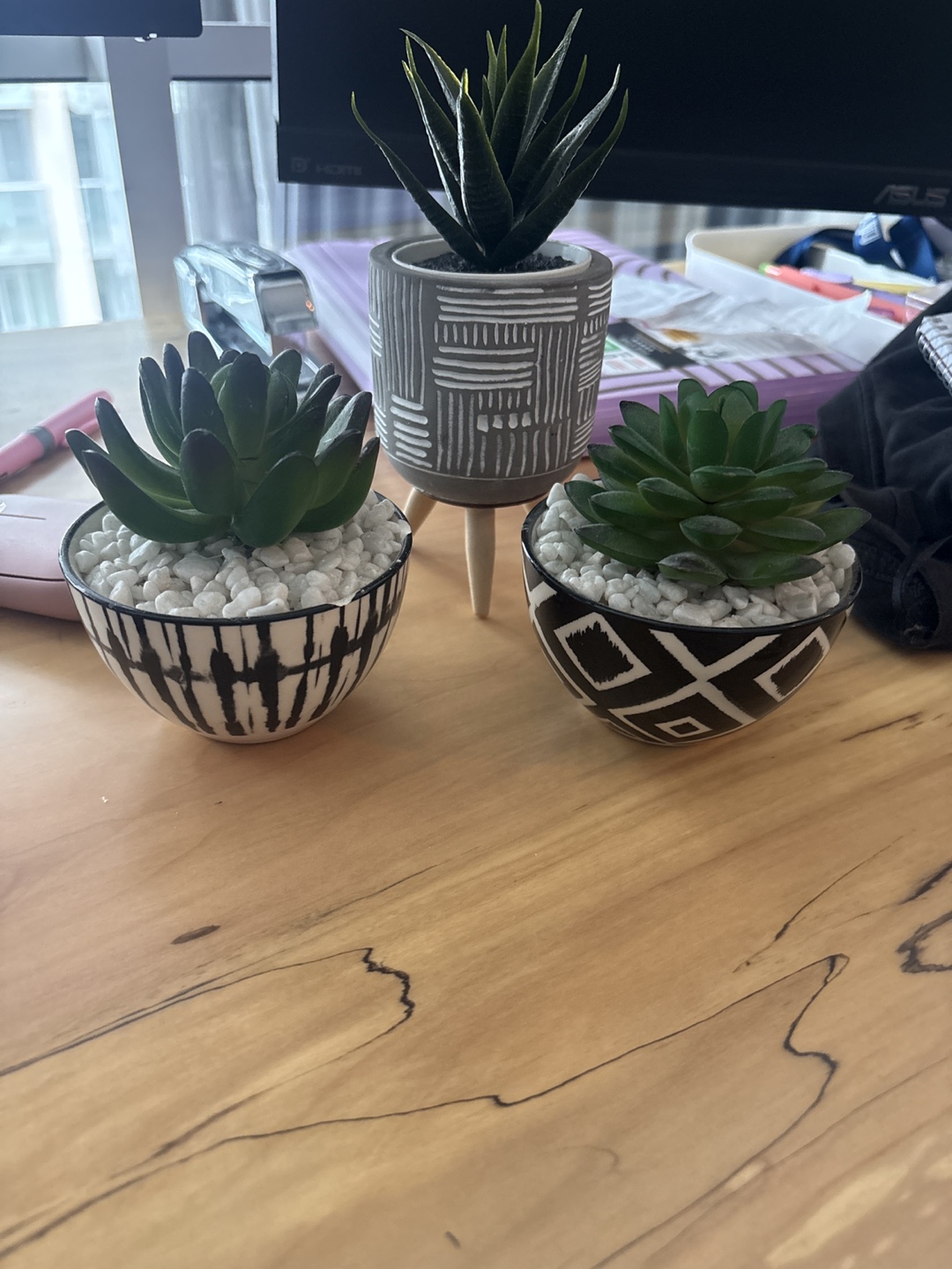 Set of 3 Faux Succulents in Decorative Pots