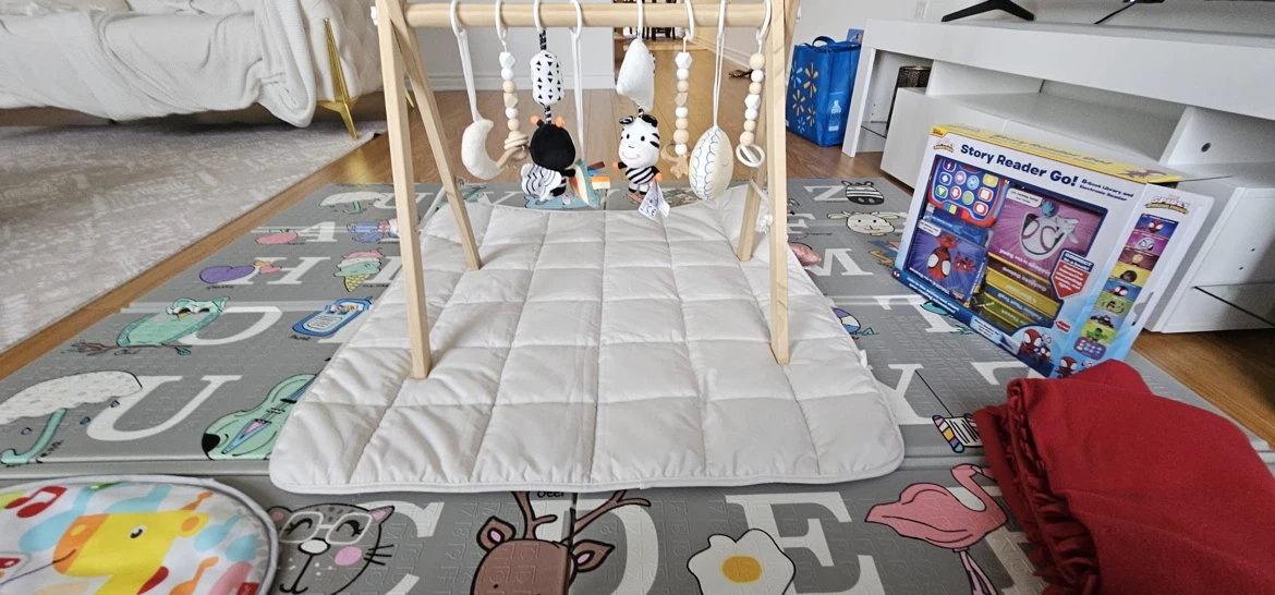 Wooden Baby Play Gym with Attached Toys