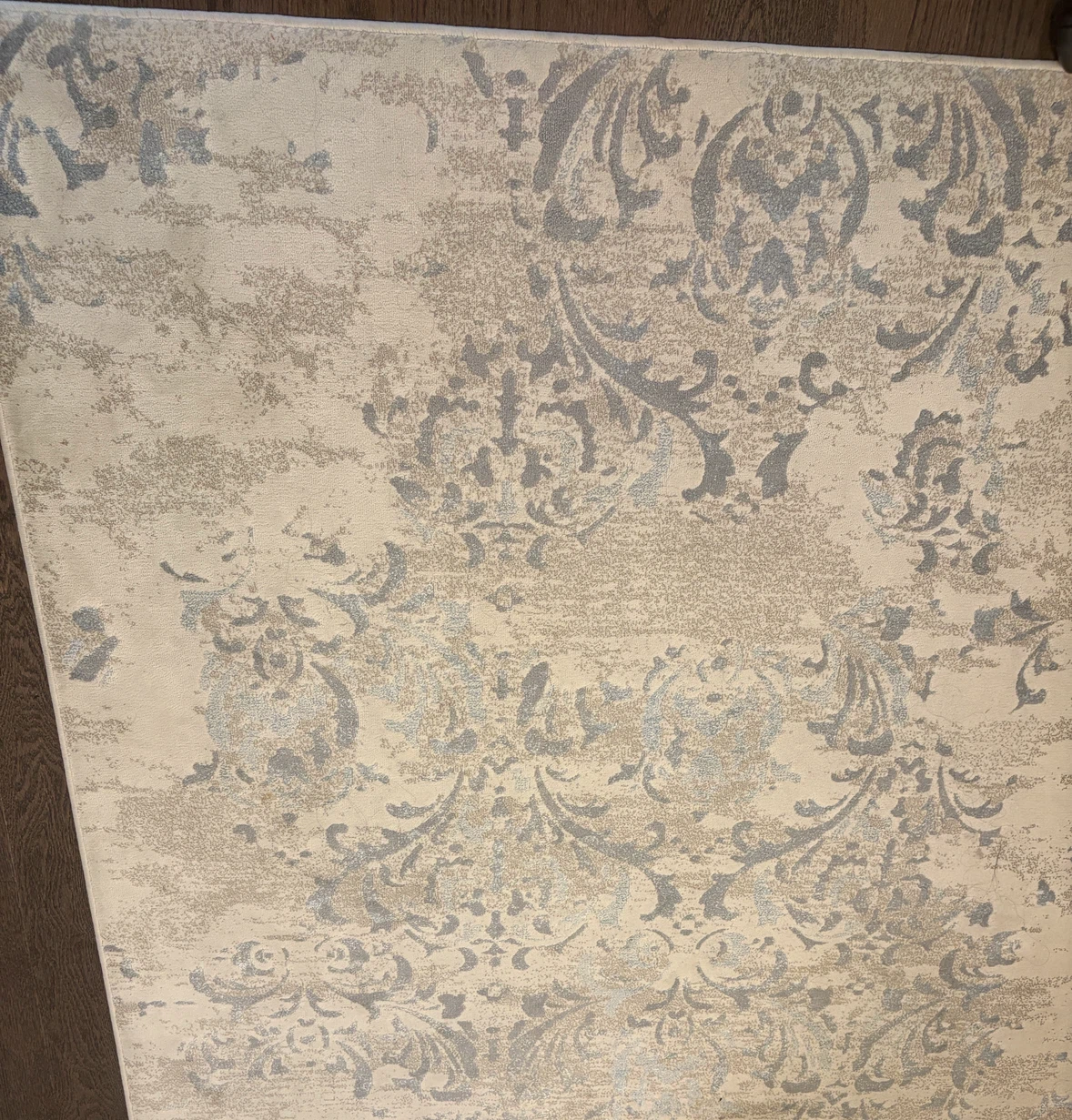 Area Rug - cream/beige - photo 2