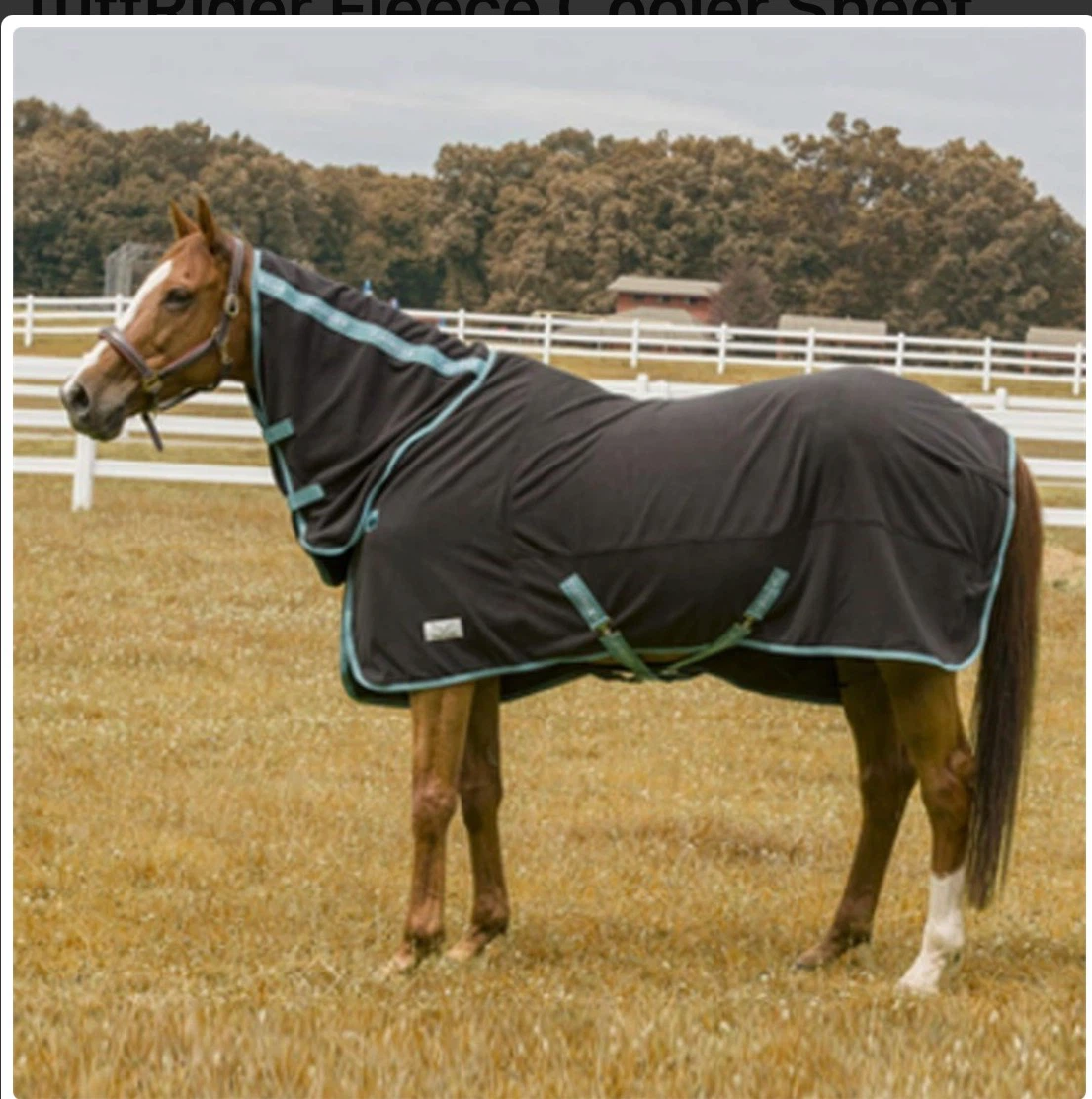 Tuffrider Horse Blanket