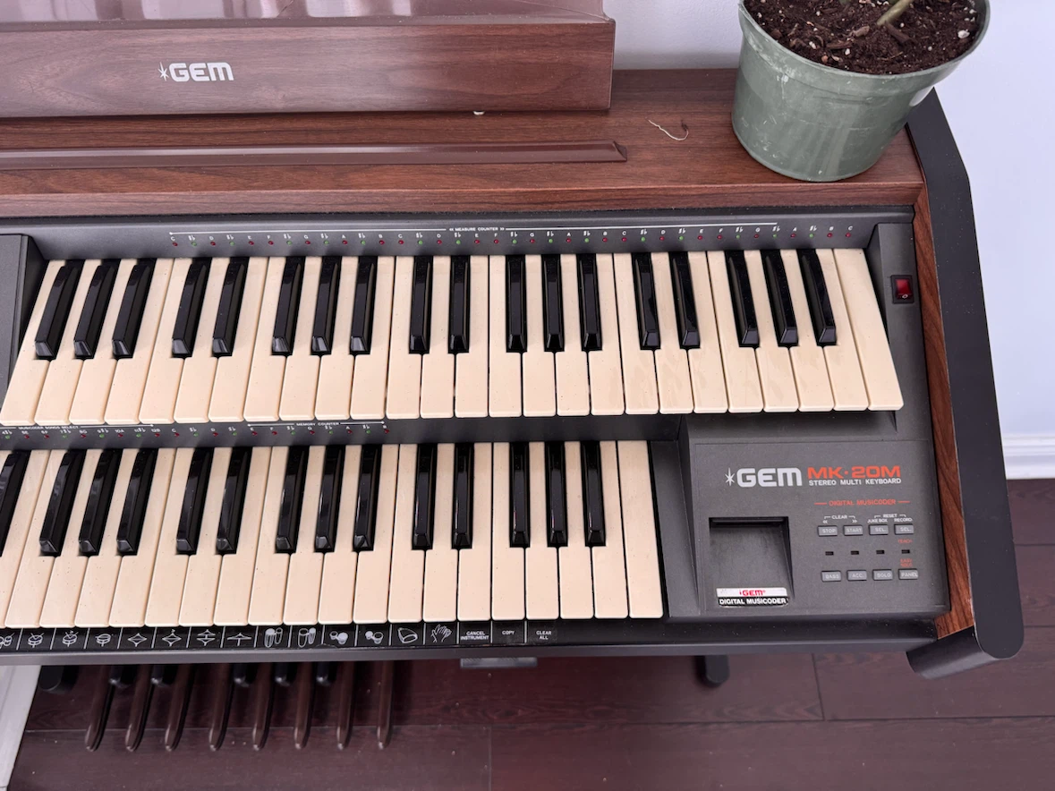 GEM MK-20M Digital Music Centre - photo 2