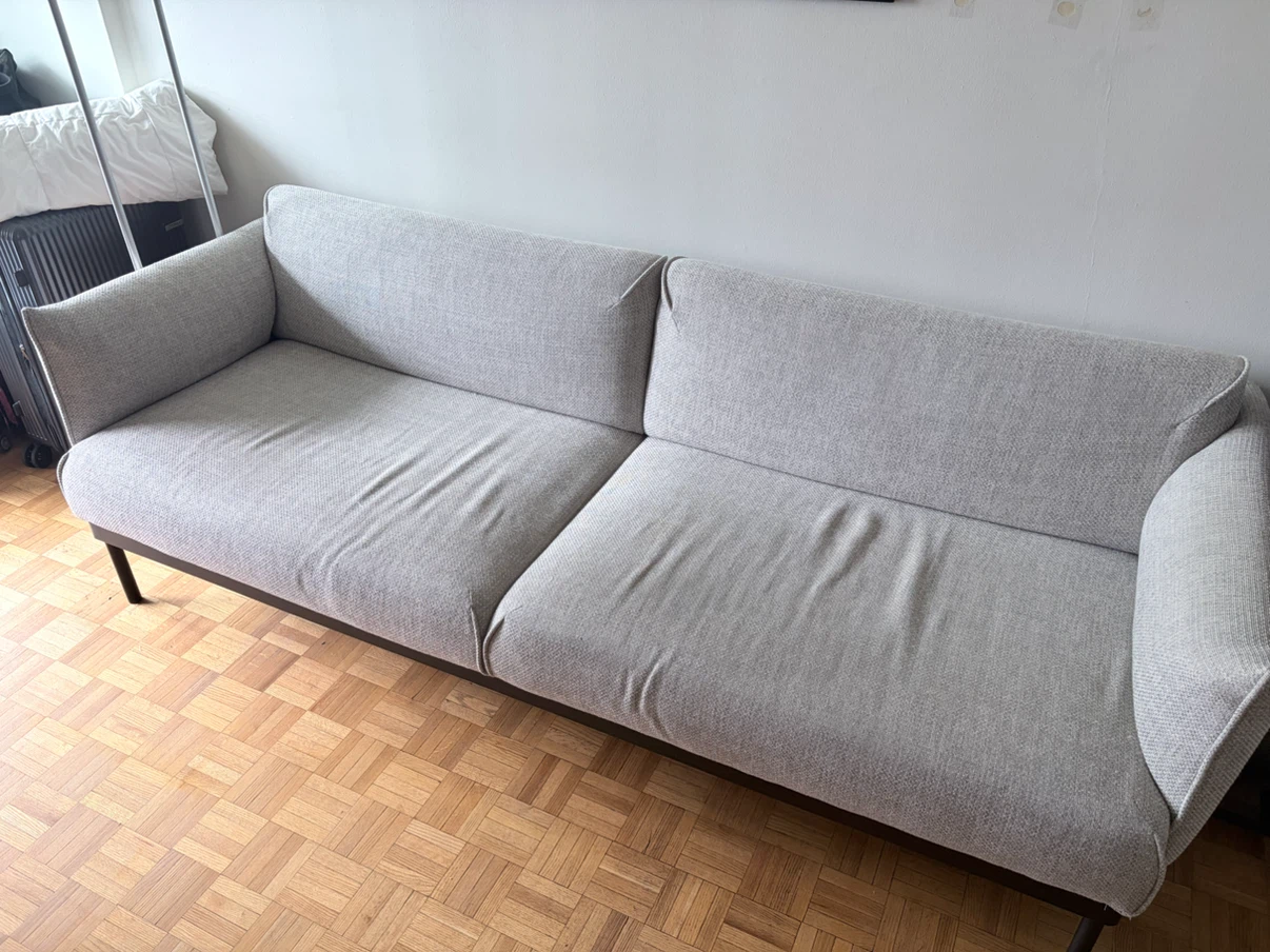 Moving Sale 🛋️ IKEA ÄPPLARYD Sofa – Lejde Light Gray