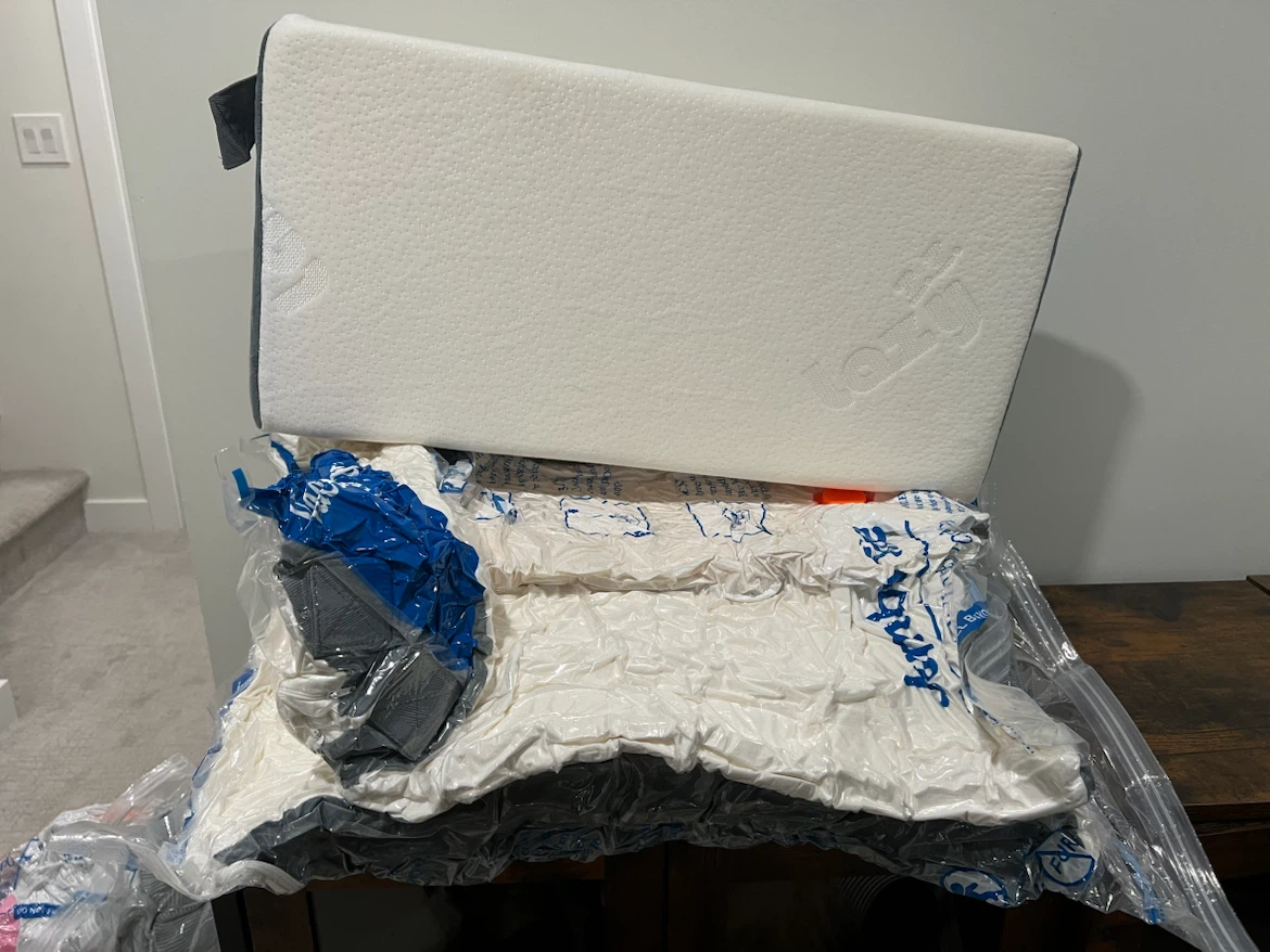 Lazy Z.Z.Z. Wedge Pillow Set - photo 5
