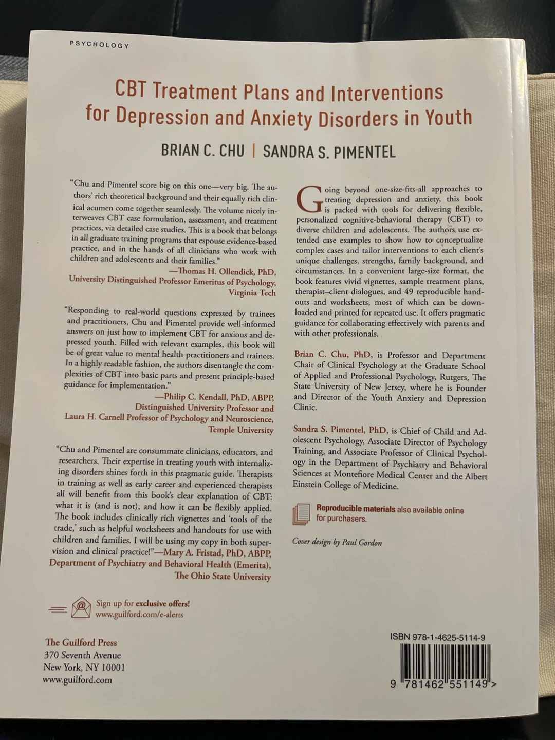 CBT Treatment Plans and Interventions for Depression - photo 3