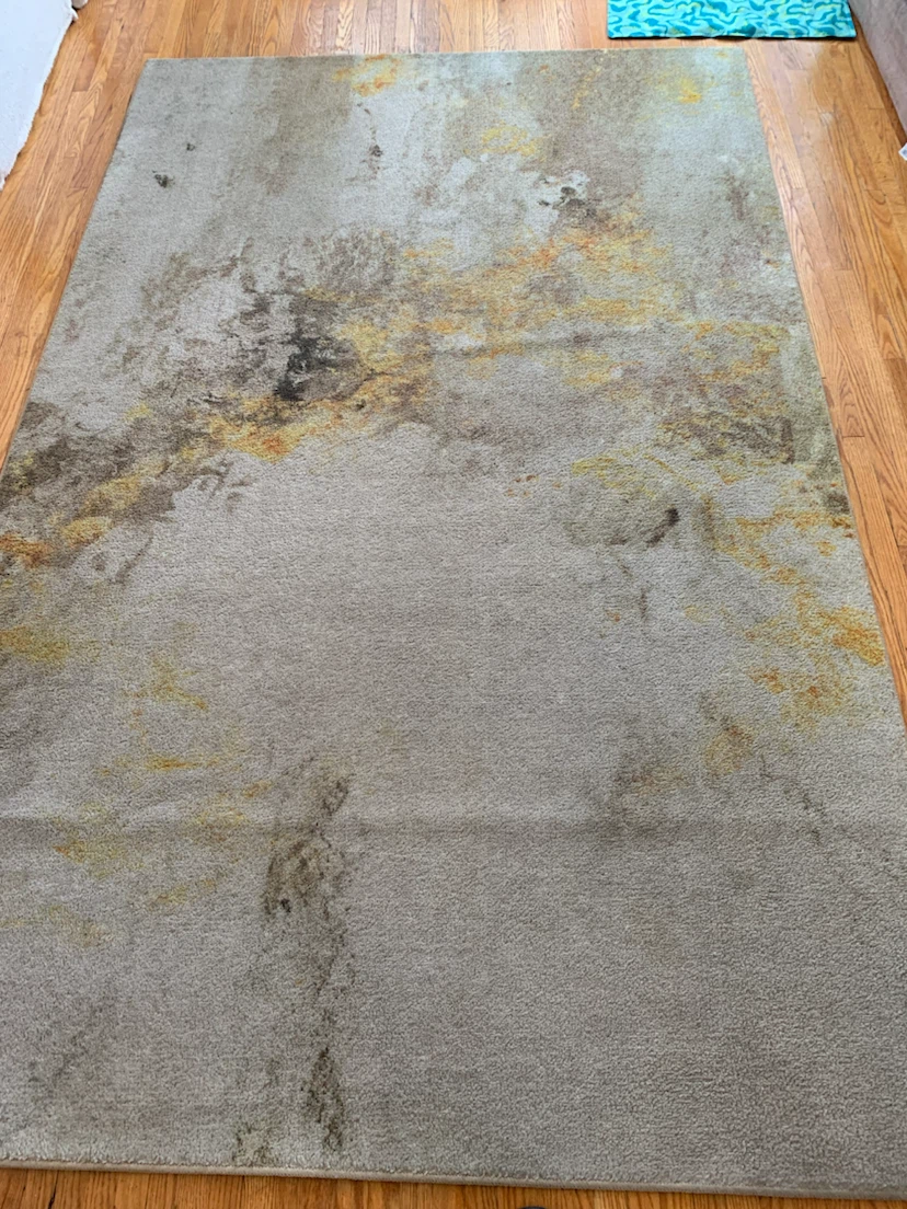 Area Rug 5X8 $30