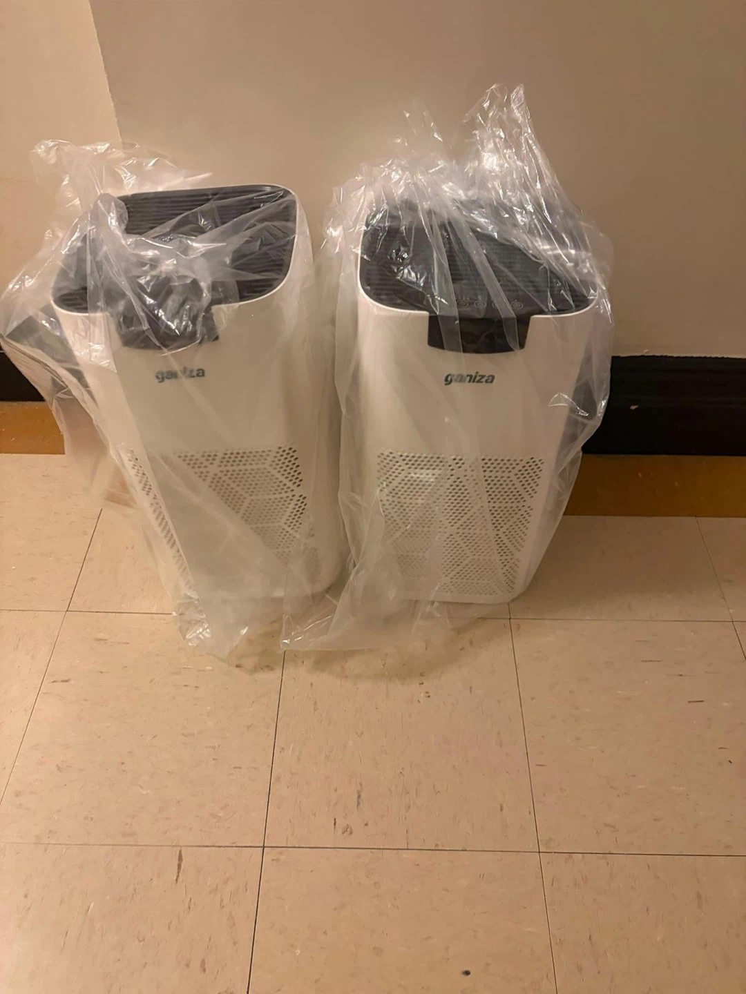 Ganiza Air Purifier (2-Pack)