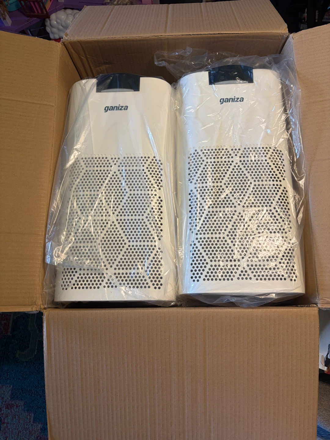 Ganiza Air Purifier (2-Pack) - photo 3
