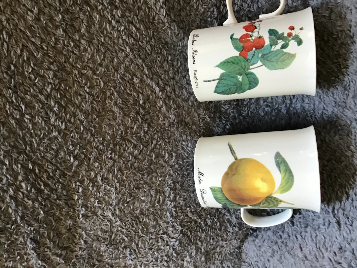 Dunoon Fine Bone China Mugs - Set of 6 - photo 3