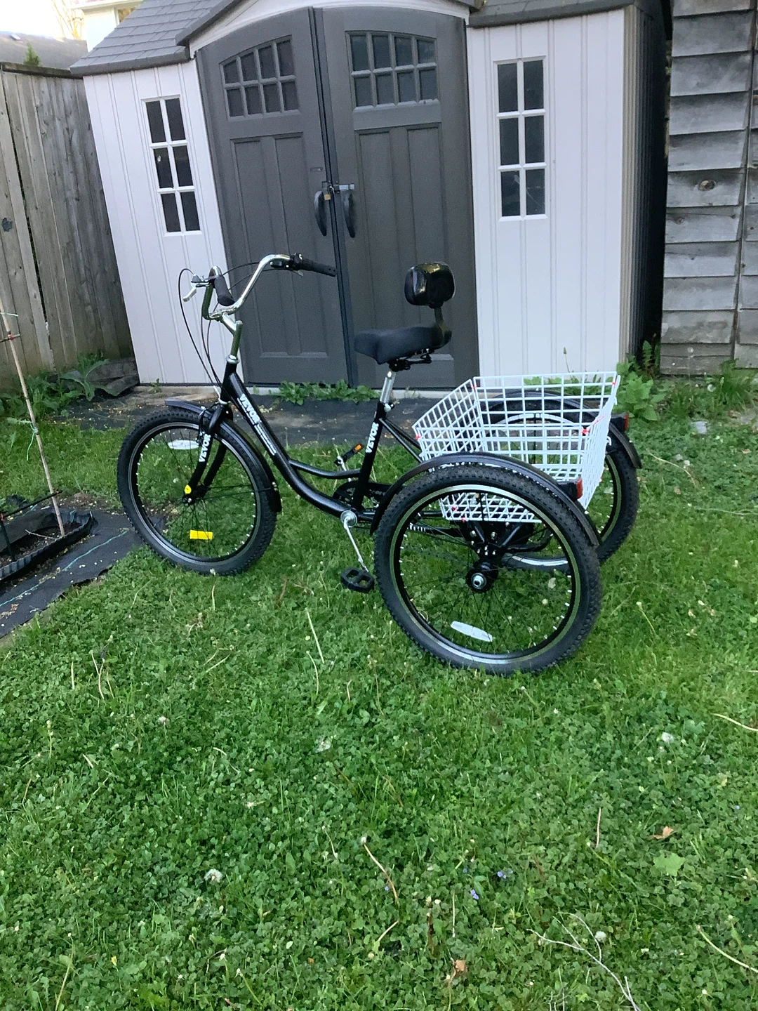 Black Adult Tricycle with Basket