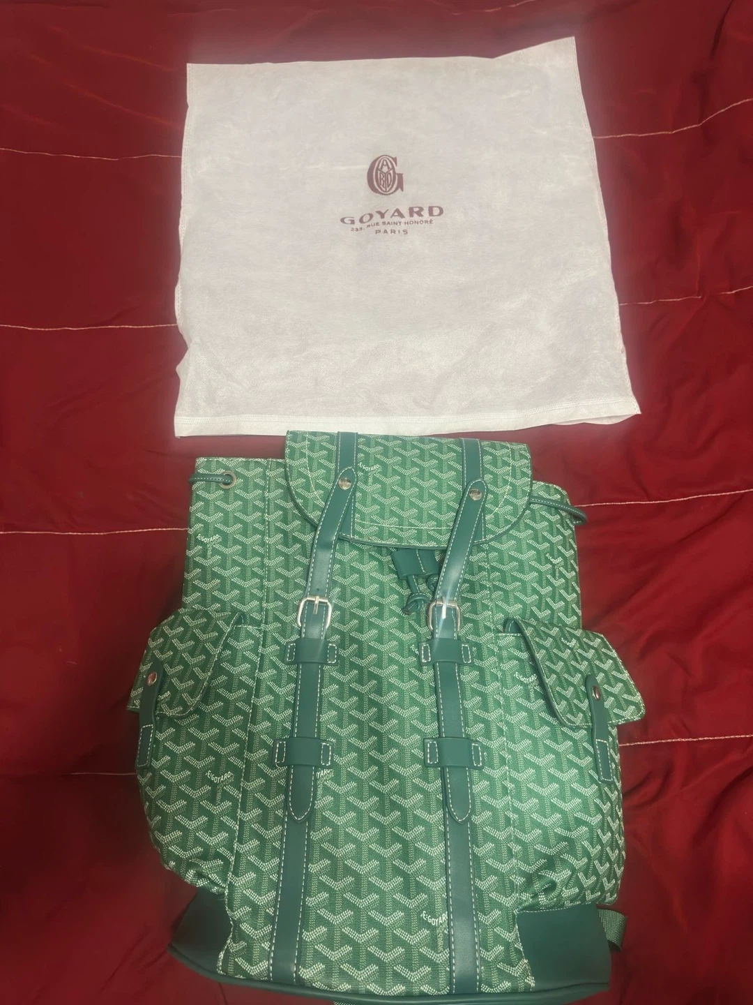 Goyard Backpack Green