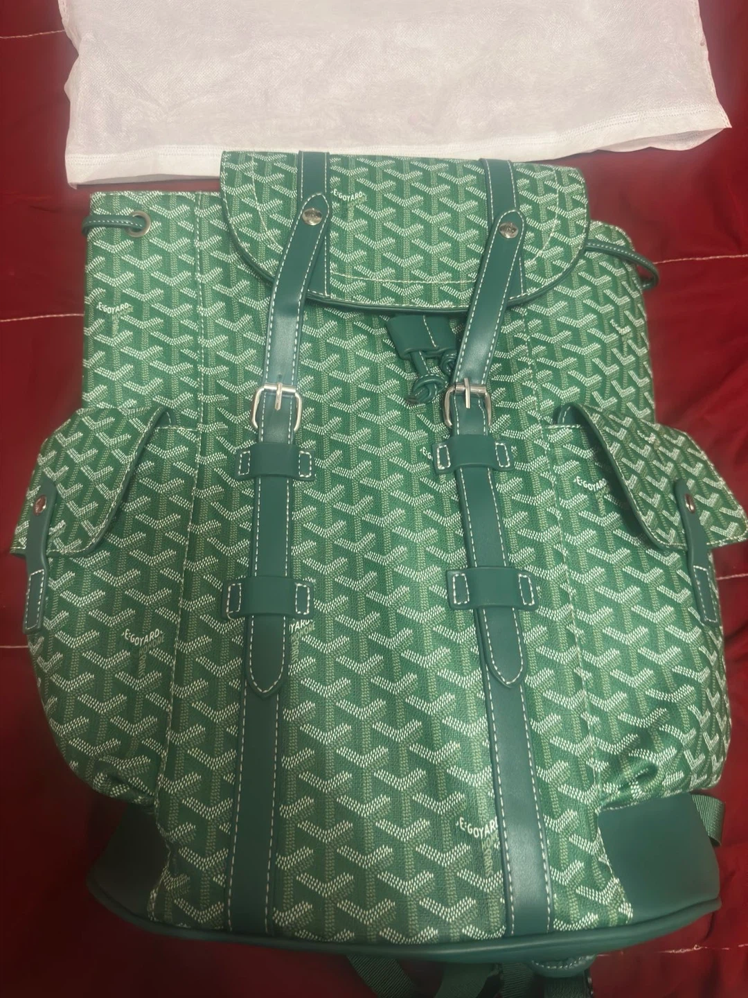 Goyard Backpack Green - photo 2