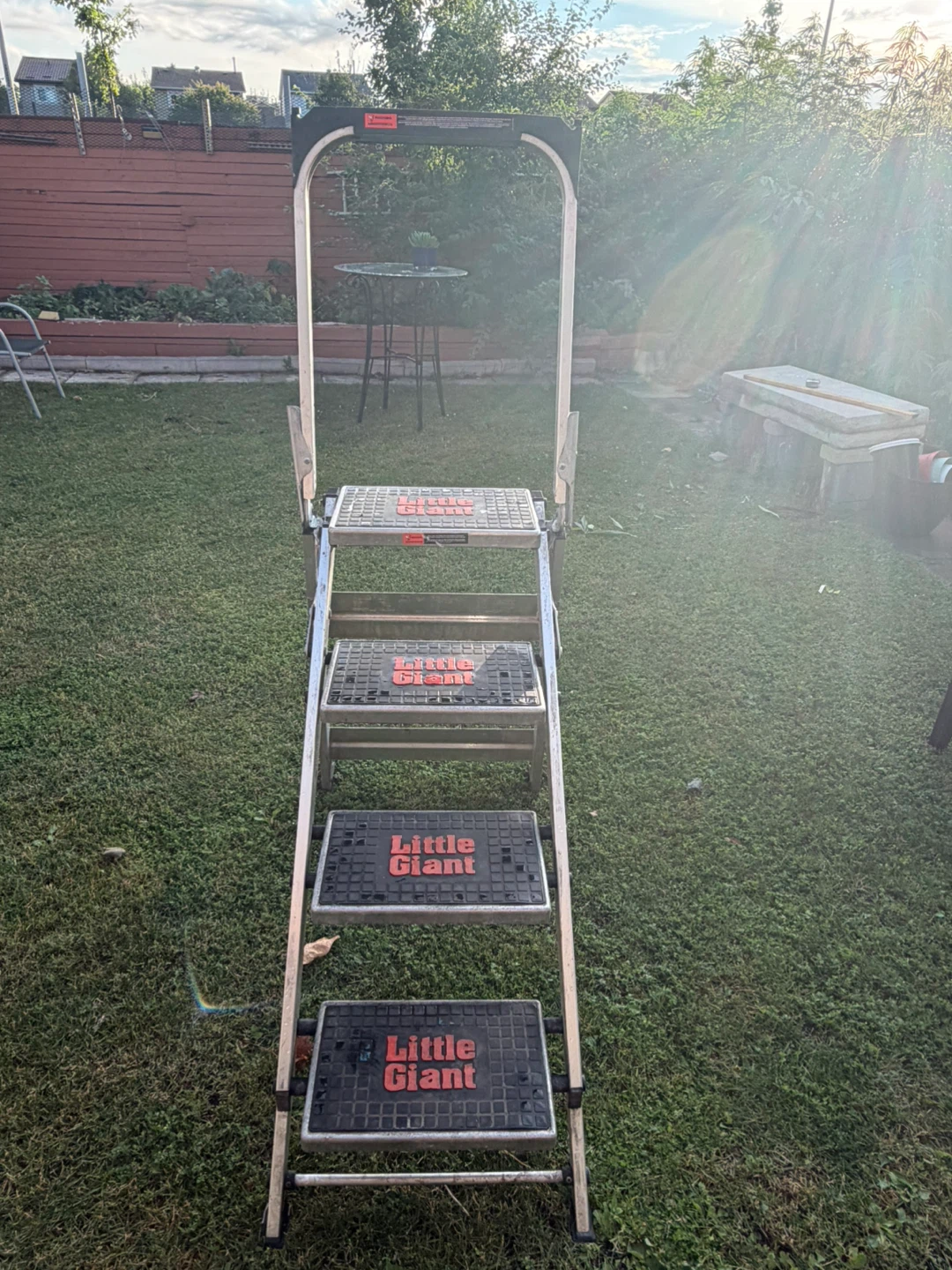 The Little Giant safety step