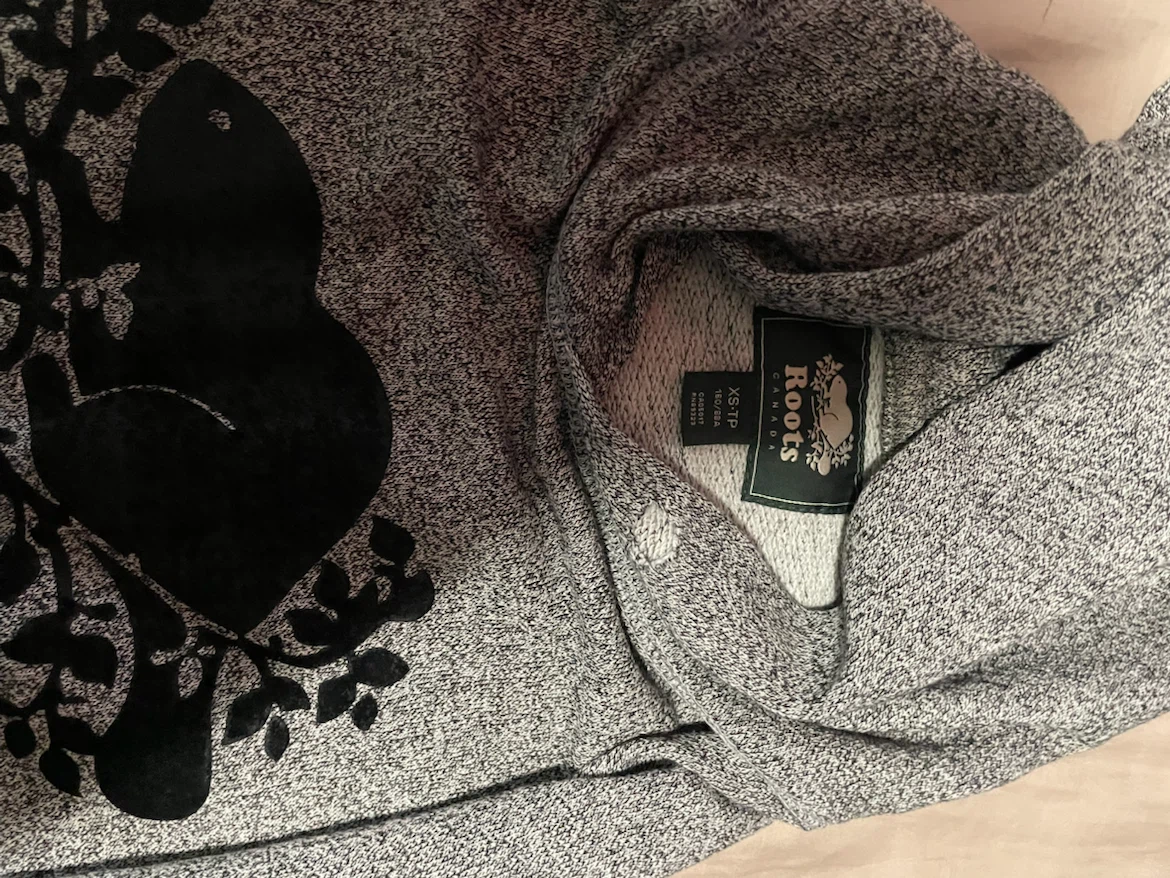 Roots Grey Heathered Hoodie - photo 2