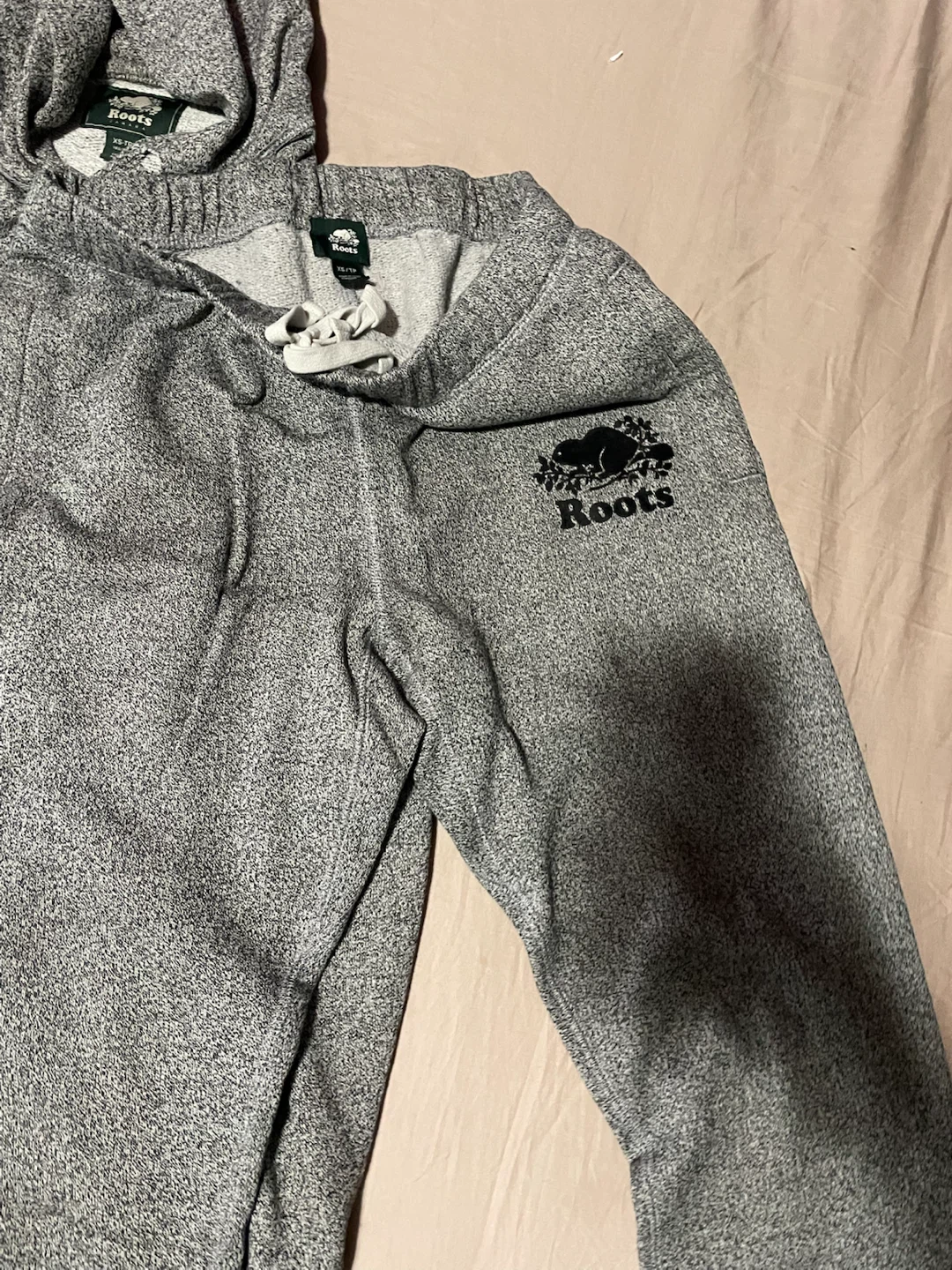 Roots Grey Heathered Hoodie - photo 3